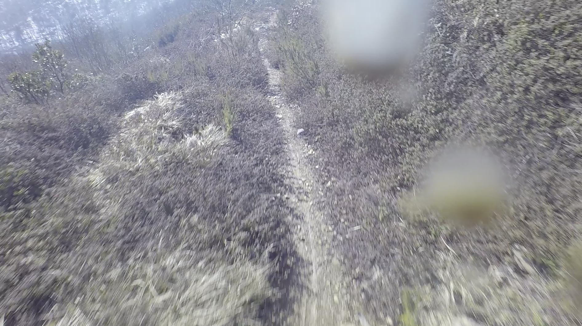 A narrow dirt path winding through a landscape of low bushes and rocky terrain, with a faint hint of distant hills in the background. The image has a slightly blurred effect, suggesting motion or a close-up view. Aydos Short mountain bike trail.