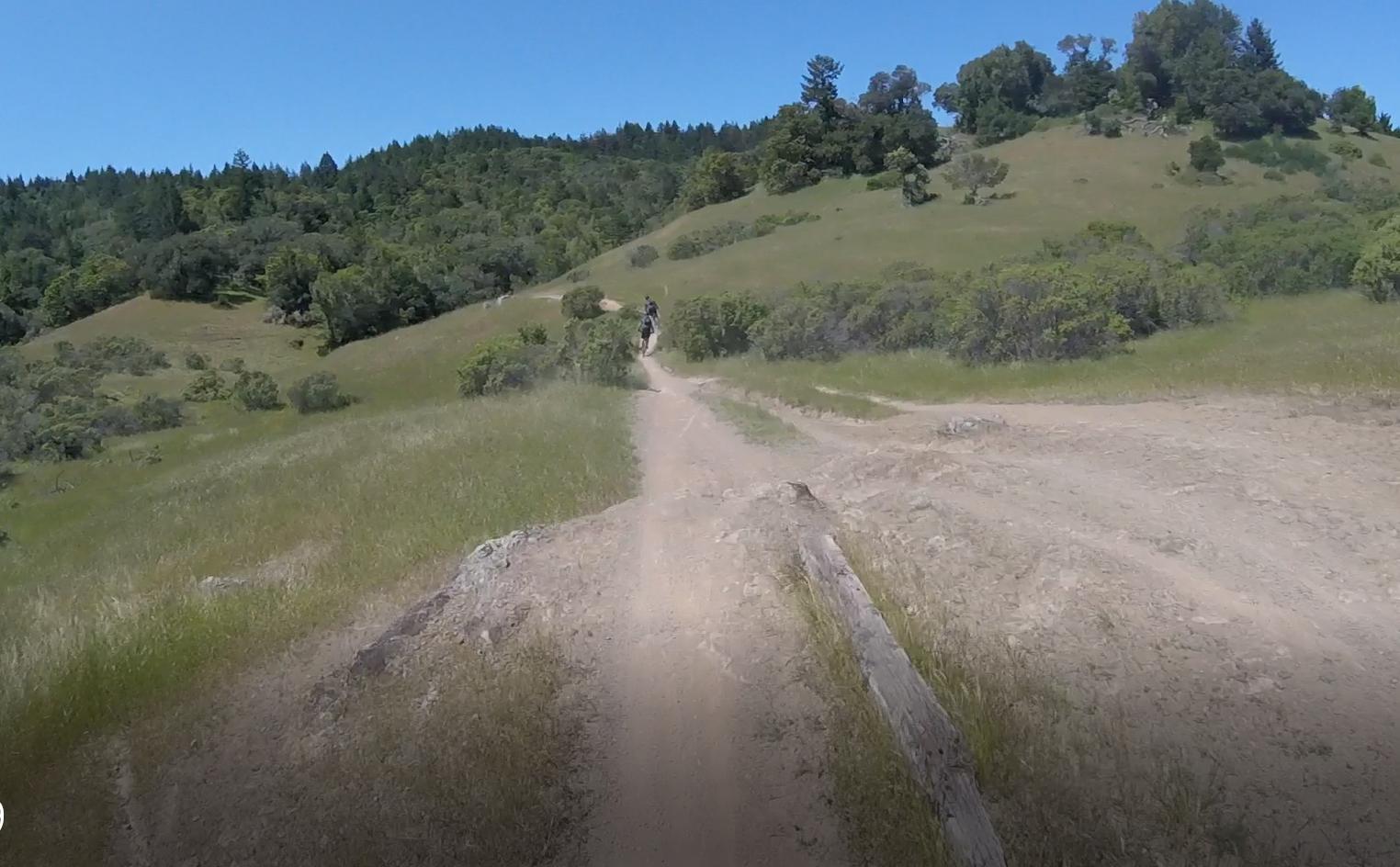 A dirt trail winding through a sunny, green landscape with rolling hills. A lone cyclist is visible riding along the path, surrounded by lush vegetation and trees in the background under a clear blue sky. Camp Tamarancho mountain bike trail.