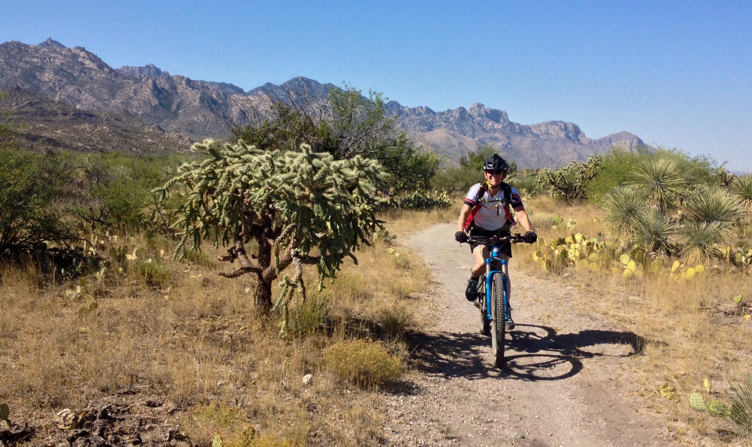 A person riding a mountain bike on a dirt path surrounded by desert vegetation, including cacti and shrubs, with rugged mountains in the background under a clear blue sky. 50-year Trail / Golder Ranch mountain bike trail.