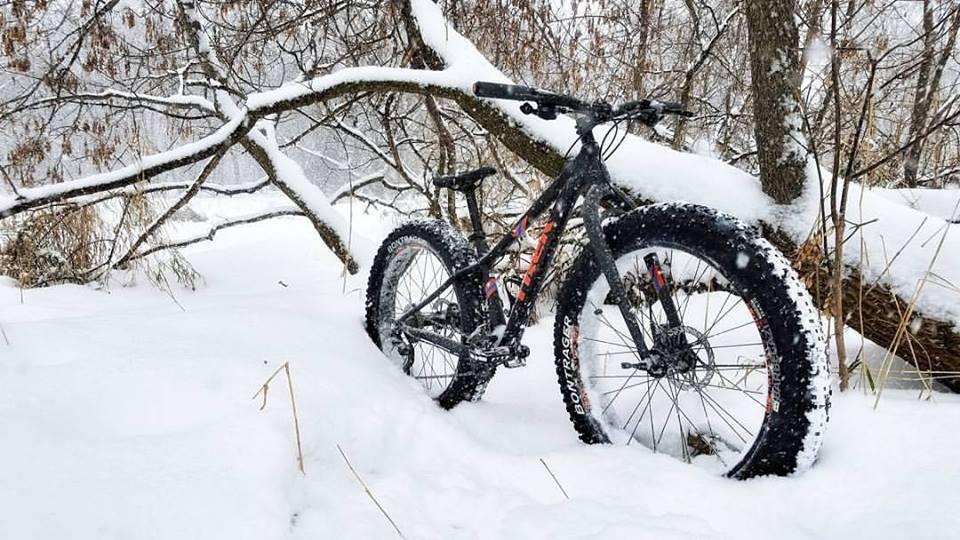 Trek farley 5: A fat tire bike resting against a snow-covered tree in a wintry landscape, with snow blanketing the ground and falling gently around.