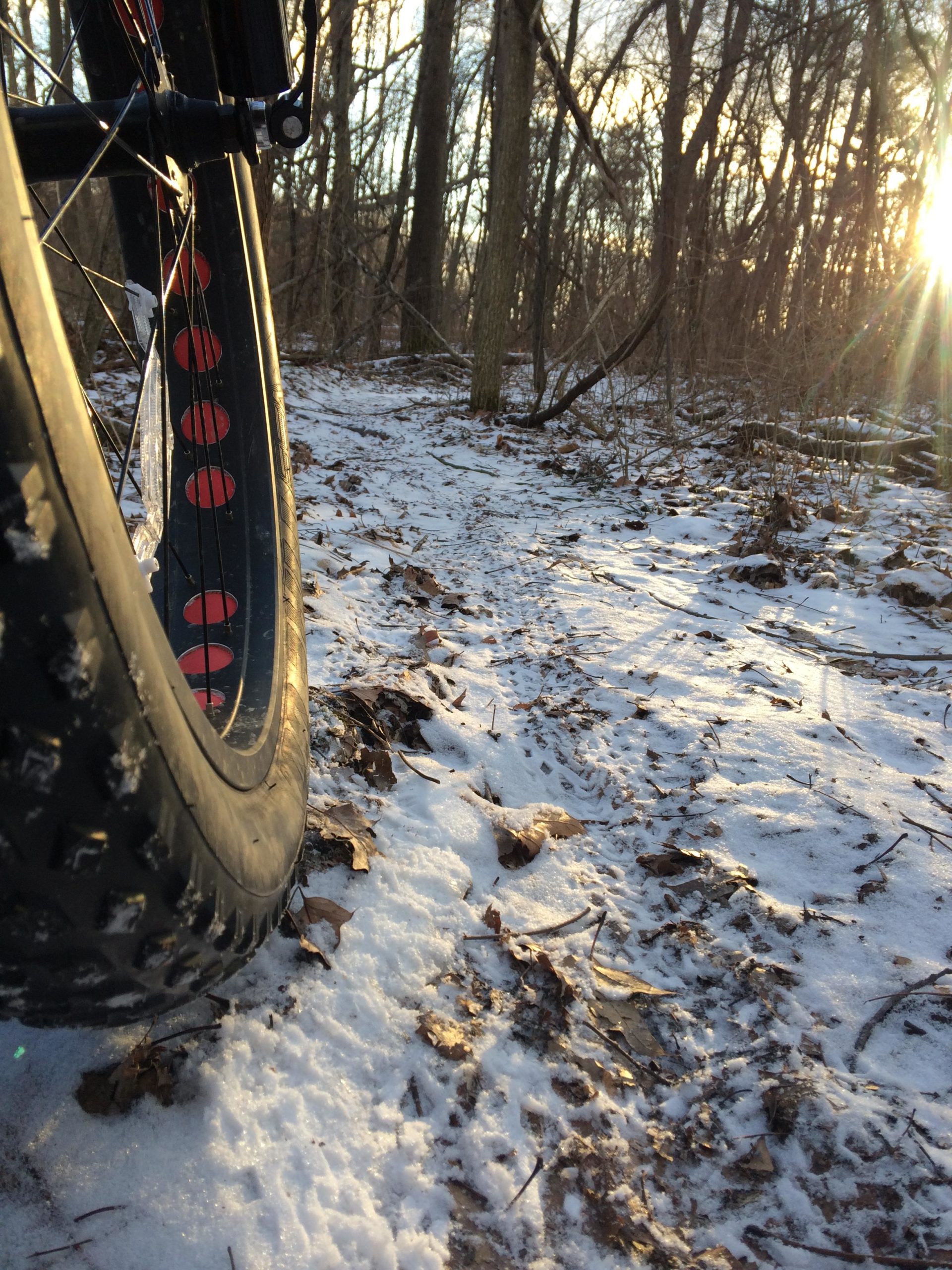 Close-up of a fat bike tire on a snowy trail in a forest. The scene features bare trees and fallen leaves, with the sun shining through the branches, creating a warm glow in the winter landscape. Anderson Park mountain bike trail.
