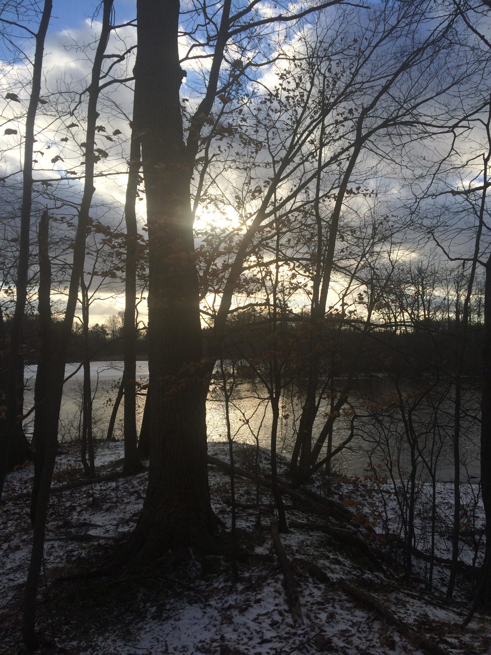 A tranquil scene featuring a lake surrounded by bare trees in winter. The sun is setting behind the trees, casting a warm glow on the water, which reflects the colors of the sky. The ground is partially covered with snow, and the atmosphere evokes a sense of calm and natural beauty. Anderson Park mountain bike trail.