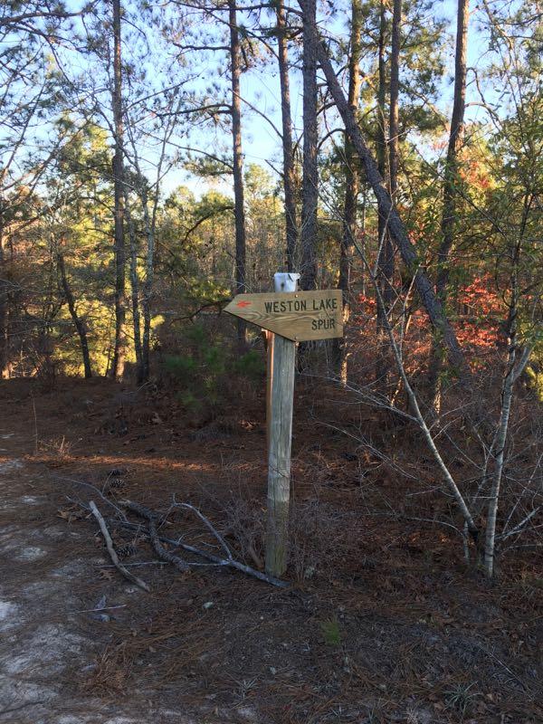 A wooden signpost indicating the direction to "Weston Lake Spur," surrounded by trees and natural foliage in a forest setting. The path is partially visible in the foreground, with pine needles and twigs on the ground. Palmetto Trail (Gate 5) mountain bike trail.
