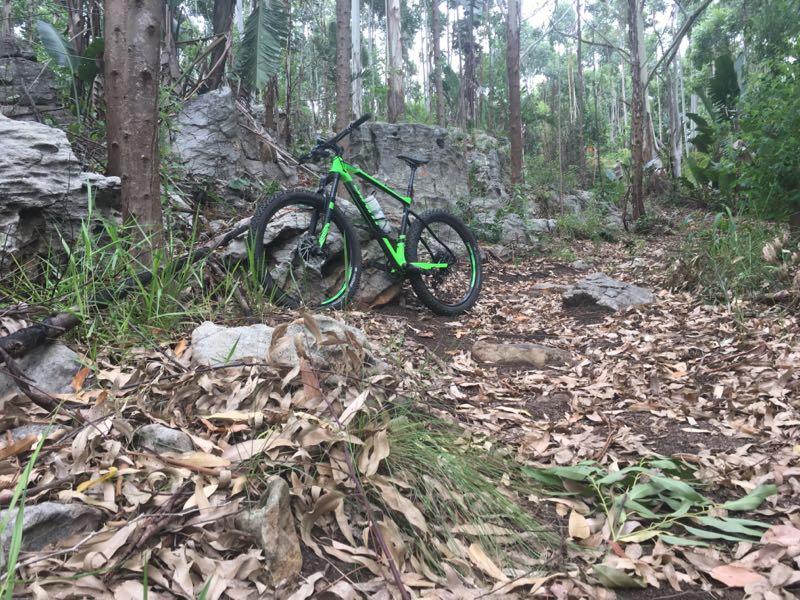 A green and black bicycle is leaning against a rock in a forested area, surrounded by trees and scattered leaves on the ground. Clearwater Trail System mountain bike trail.