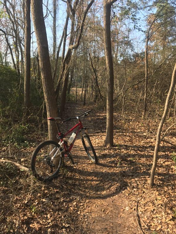 A red mountain bike rests on a dirt path surrounded by tall trees and bushes, with scattered fallen leaves on the ground. The scene is set in a wooded area on a sunny day. Bringle Lake Mountain Bike Trail System mountain bike trail.