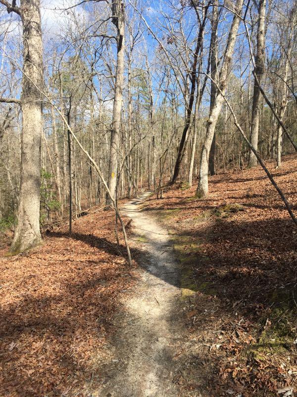 A winding dirt path leads through a wooded area, surrounded by tall, bare trees and scattered fallen leaves. The sky is mostly clear with some clouds, and the terrain shows signs of a gentle slope. Poinsett State Park mountain bike trail.