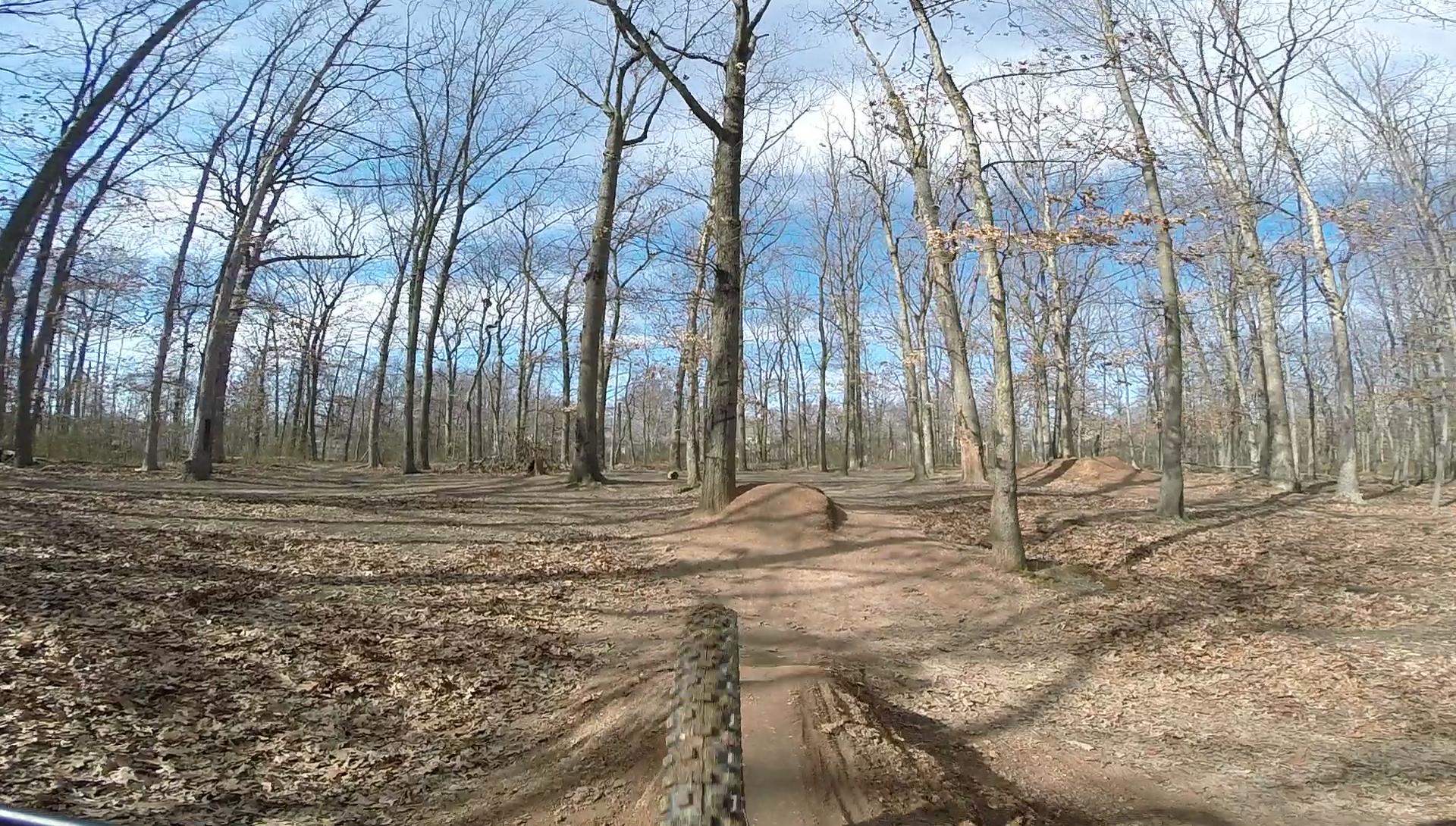 A landscape view of a wooded area with bare trees and scattered leaves on the ground, showcasing a dirt bike trail with a jump in the foreground. The sky is partly cloudy, and the scene is illuminated by natural light. Wolfes Pond park mountain bike trail.