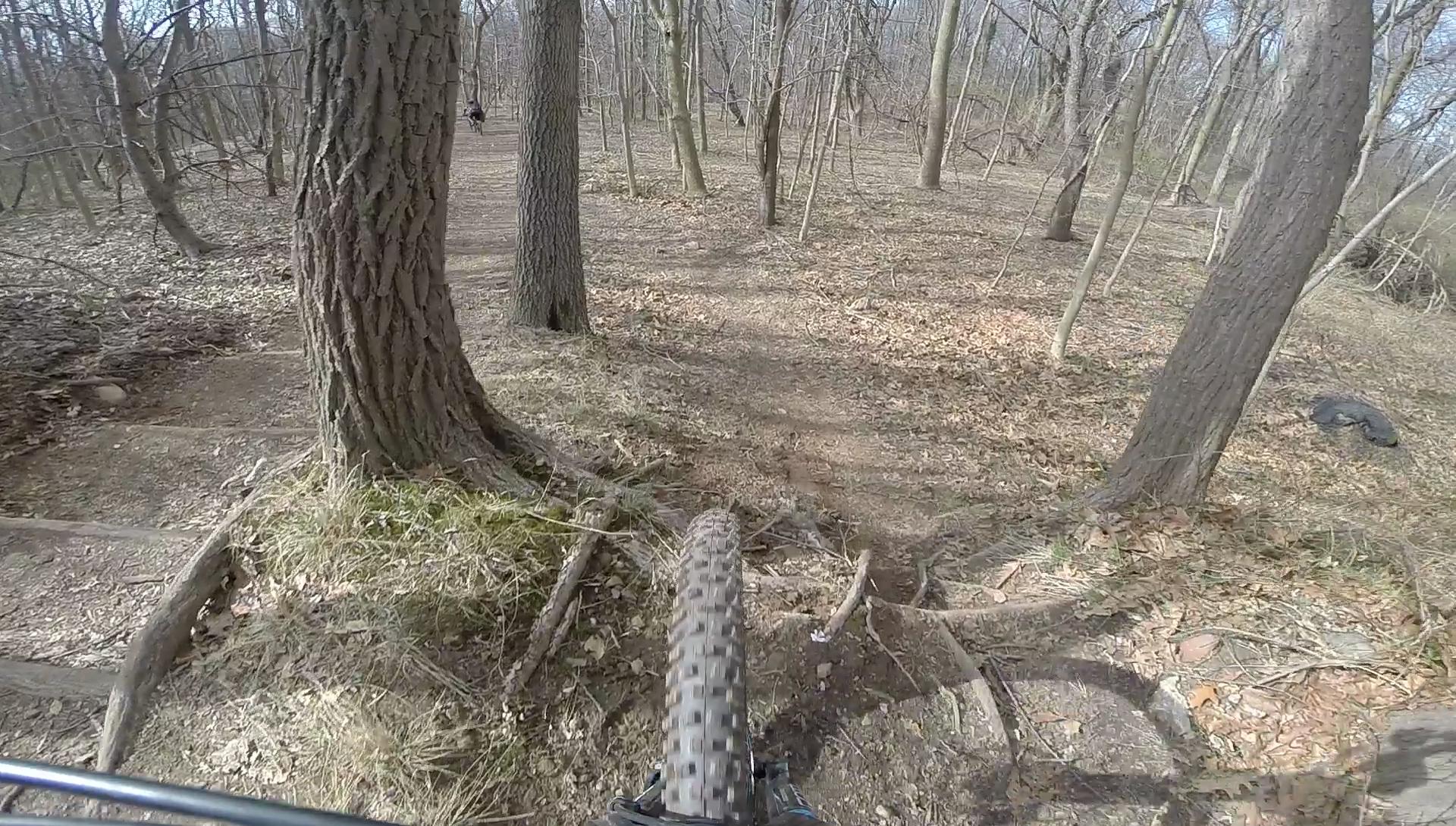 A close-up view of a mountain bike tire on a dirt trail surrounded by trees in a wooded area, with patches of dried leaves on the ground and branches nearby. The perspective shows the trail winding ahead, indicating a biking adventure in nature. Richmond Avenue and Forest Hill road mountain bike trail.