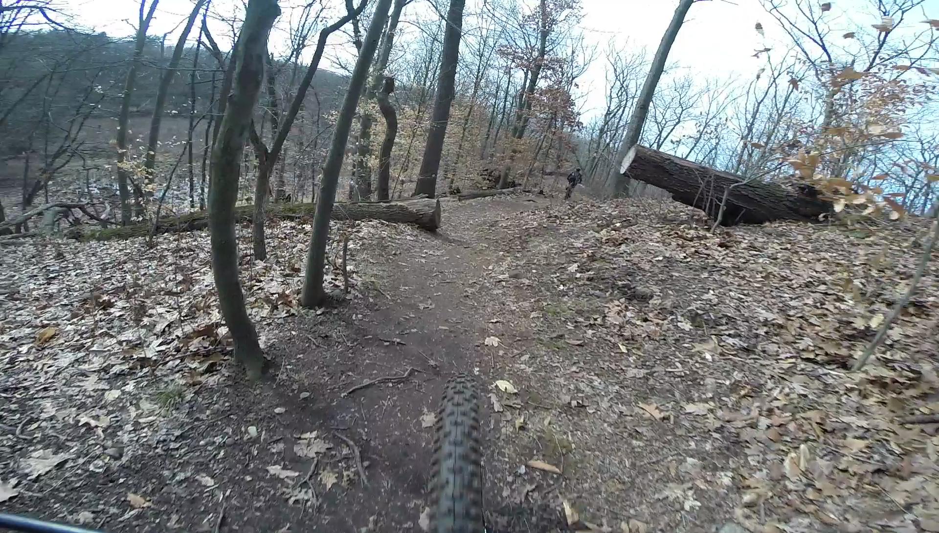 A mountain biking trail winding through a wooded area, with fallen leaves covering the ground and a log across the path. Trees with sparse leaves line the trail, indicating a late fall or early winter setting. A portion of a bike tire is visible in the foreground, suggesting an action shot of riding on the trail. Richmond Avenue and Forest Hill road mountain bike trail.