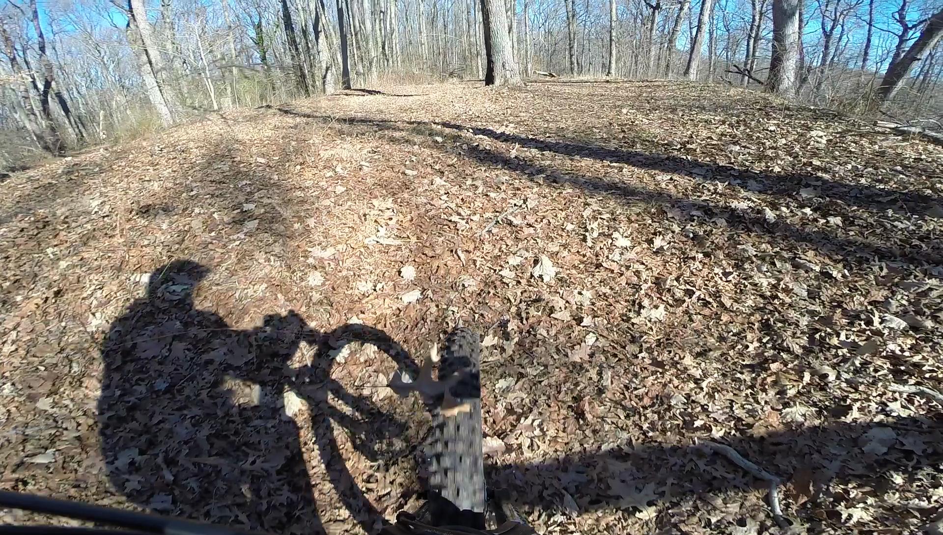 A close-up view of a mountain bike tire on a leaf-covered trail, with the shadow of the rider visible. The background features a forest scene with bare trees under a clear blue sky. Wolfes Pond park mountain bike trail.