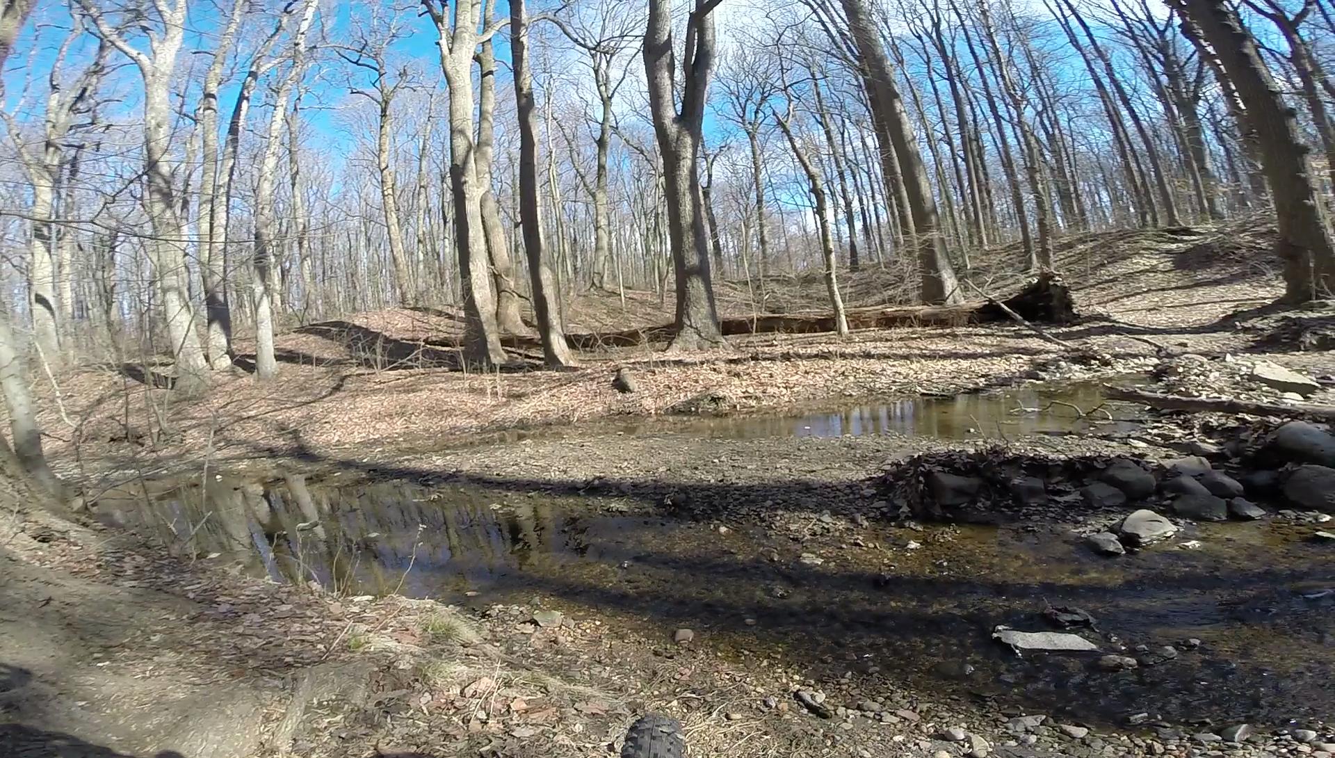 A serene forest scene featuring tall, bare trees with a clear blue sky above. In the foreground, a small, shallow stream reflects the surroundings, with rocks and leaves scattered along the bank, indicating early spring or fall. Wolfes Pond park mountain bike trail.