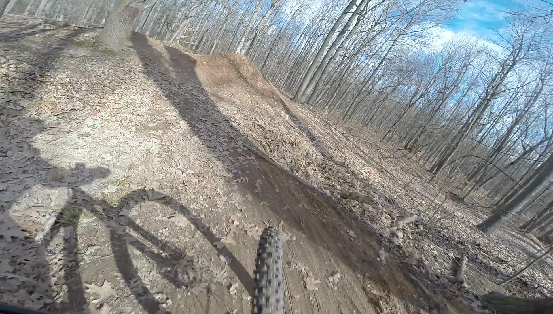 A close-up view of a mountain bike tire on a dirt trail covered with autumn leaves, as the rider navigates through a wooded area. Trees are visible in the background under a clear blue sky. Wolfes Pond park mountain bike trail.