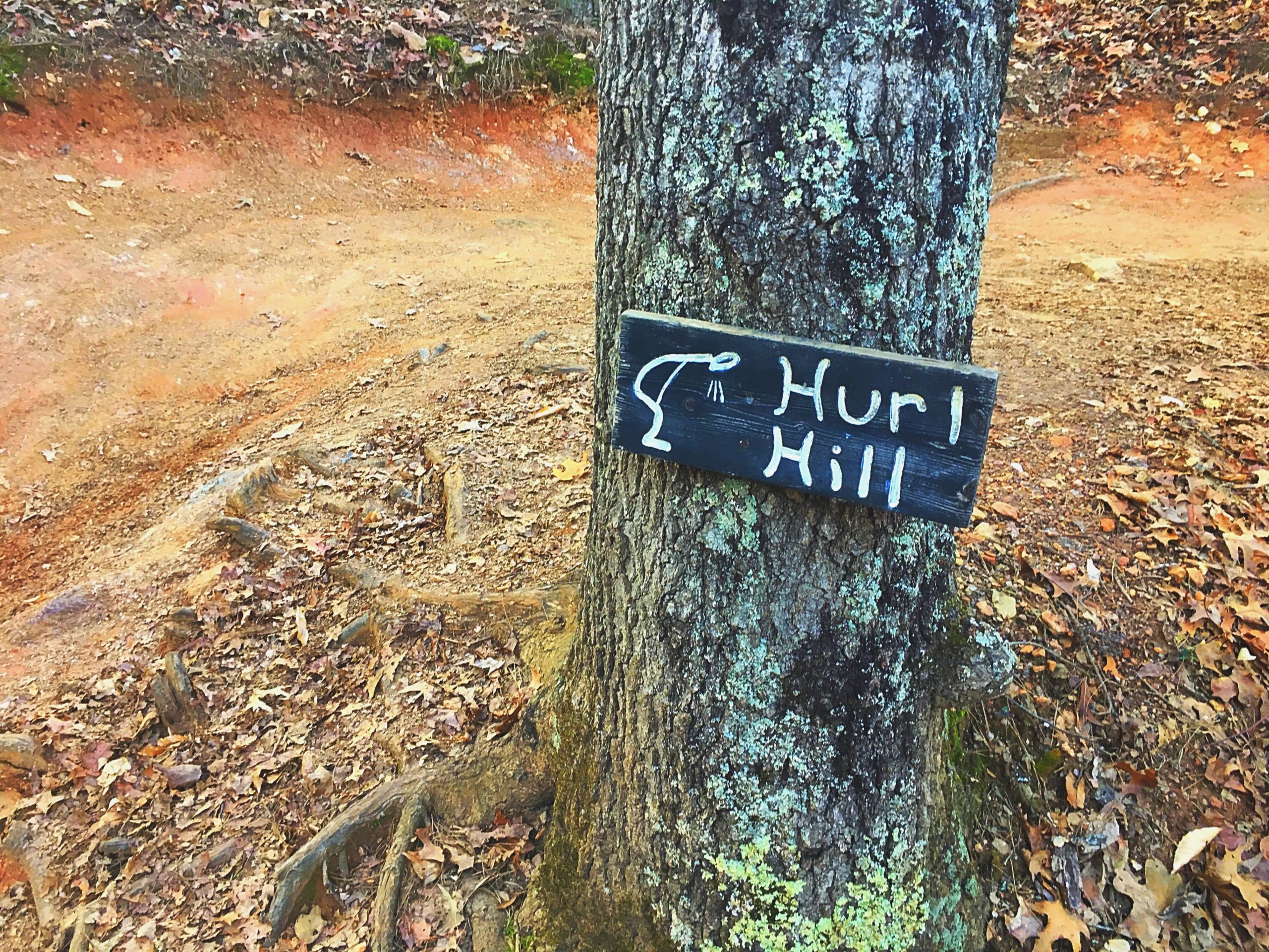 A wooden sign labeled "Hurl Hill" attached to a tree, with a forest trail and fallen leaves in the background. Van Michael Trail mountain bike trail.