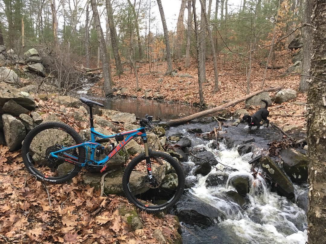 Giant Trance SX 27.5: A blue mountain bike leans against rocks near a small stream in a forest. Fallen leaves cover the ground, and a black dog is playing near the water, while trees with sparse leaves stand in the background.