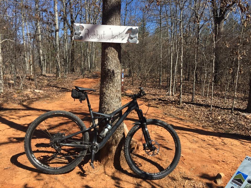 A black mountain bike rests against a tree marked with a sign that reads "Rabbit Hole," set in a wooded area with bare trees and a dirt path. The ground is covered in orange soil and leaves, evoking a tranquil outdoor setting ideal for biking. Coldwater Mountain mountain bike trail.