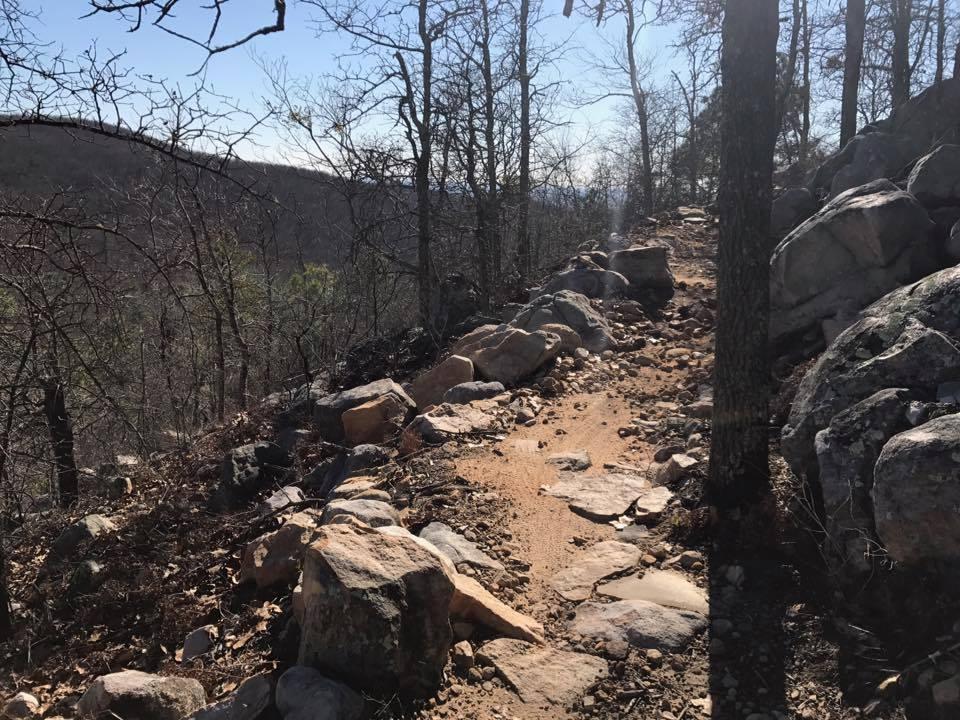 Rocky hiking trail winding through a forested area, with bare trees and a clear blue sky in the background. The path is surrounded by large stones and patches of dirt, suggesting a rugged terrain. Coldwater Mountain mountain bike trail.