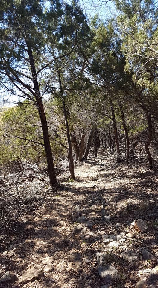 A winding dirt path through a dense forest, lined with tall trees and rocky terrain. Sunlight filters through the foliage, casting shadows on the ground. Goodwater Trail mountain bike trail.