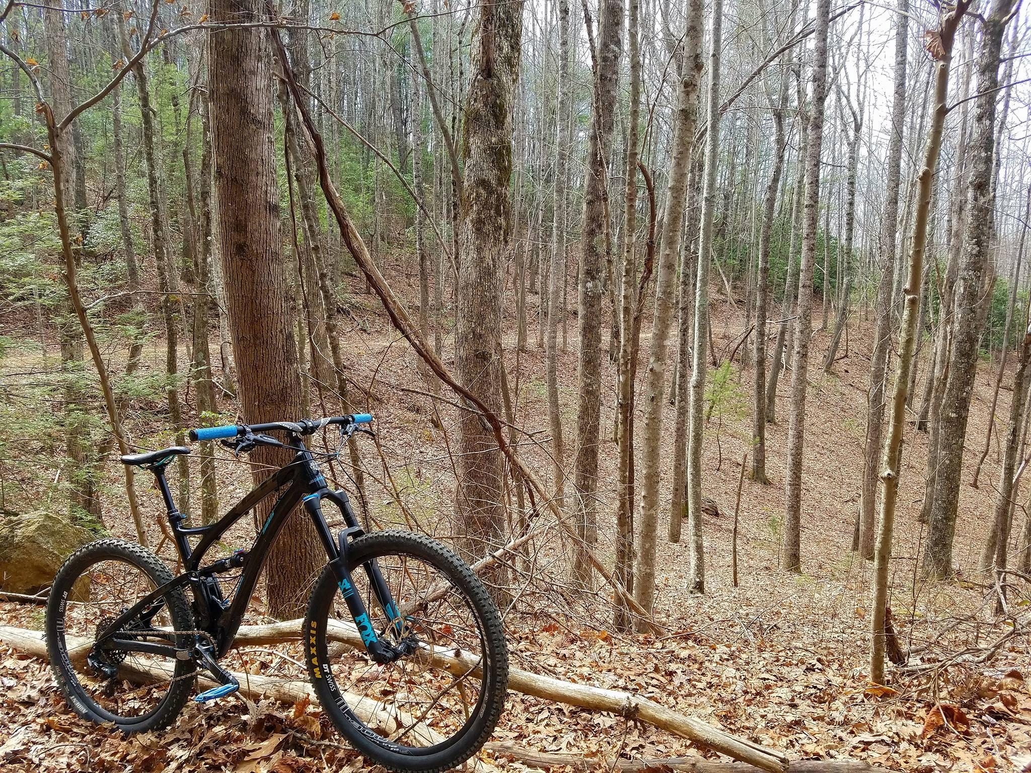 Yeti SB5 Enduro: A mountain bike leaning against a tree in a wooded area, surrounded by tall trees and fallen leaves on the ground. The scene captures the tranquility of nature, with a mix of green foliage and earthy tones in the background.