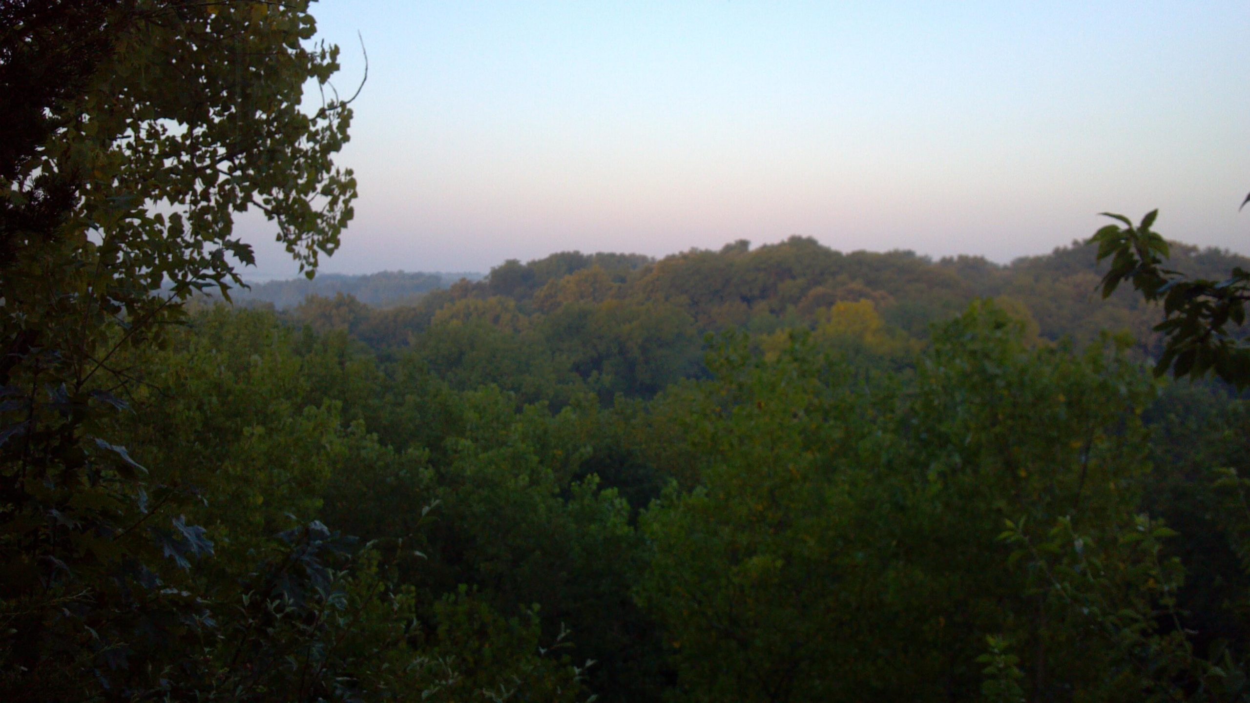 A lush green landscape featuring a dense forest under a soft, hazy sky, with trees extending into the distance and a tranquil atmosphere suggesting early morning or late evening. Wildlife Prairie Park mountain bike trail.