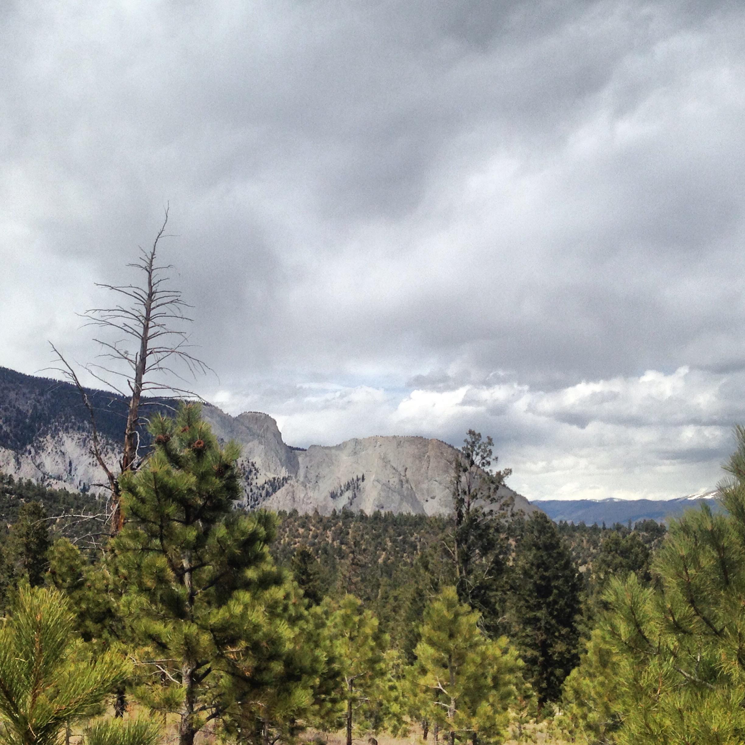 A scenic view of a mountainous landscape featuring a mix of evergreen trees in the foreground and rugged cliffs in the background. The sky is overcast with varying shades of gray clouds. The terrain showcases natural greenery with hints of rocky formations and distant snow-capped peaks. Colorado Trail: Mt. Shavano thd to Chalk Creek thd mountain bike trail.