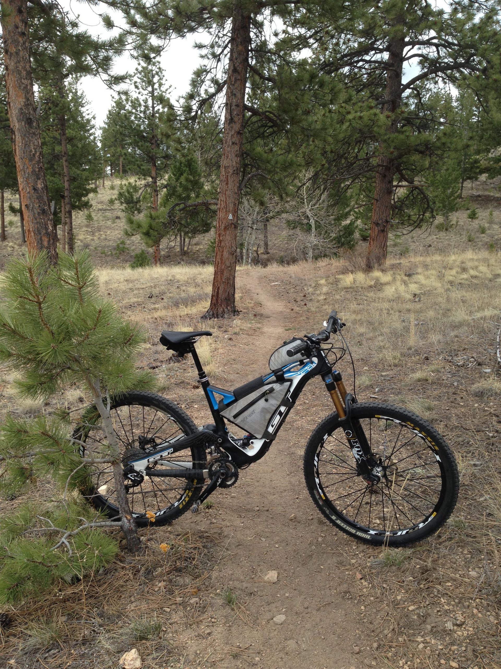 A mountain bike parked on a dirt trail surrounded by pine trees and grassy terrain. The bike has a black and blue design, with a visible suspension fork and distinctive wheels, set against a backdrop of a forested area. Colorado Trail: Mt. Shavano thd to Chalk Creek thd mountain bike trail.
