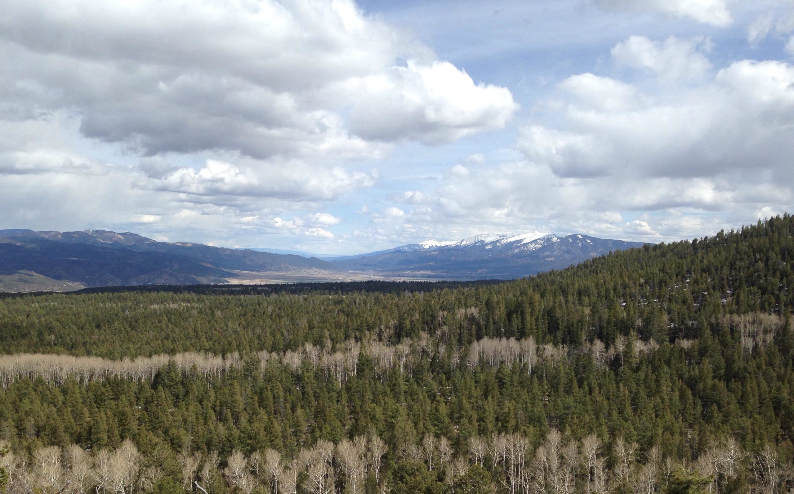 A panoramic view of a lush green forest with a mix of tall coniferous trees and leafless deciduous trees, set against a backdrop of distant mountains capped with snow. The sky is mostly cloudy, with patches of blue peeking through. The landscape features gentle hills leading down to a valley. Browns Creek Trail mountain bike trail.