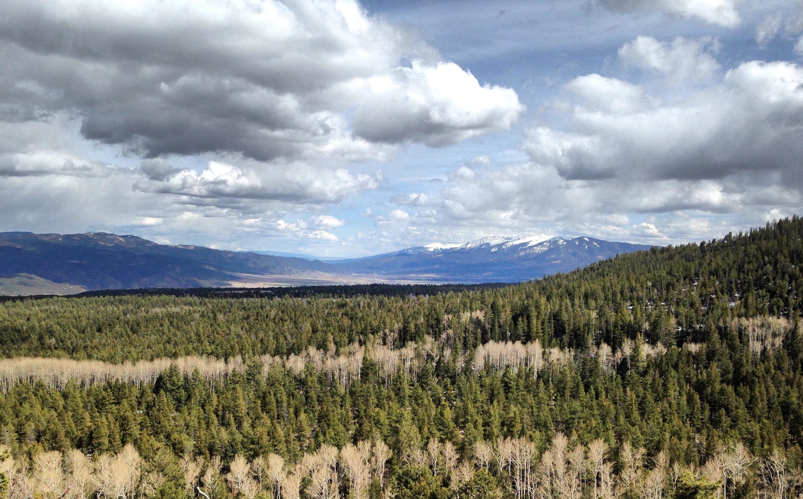 A panoramic view of a lush forest with a mix of evergreen trees and bare deciduous trees, set against a backdrop of mountain ranges under a partly cloudy sky. Snow-capped peaks are visible in the distance, and the landscape features varying shades of green and brown. Browns Creek Trail mountain bike trail.