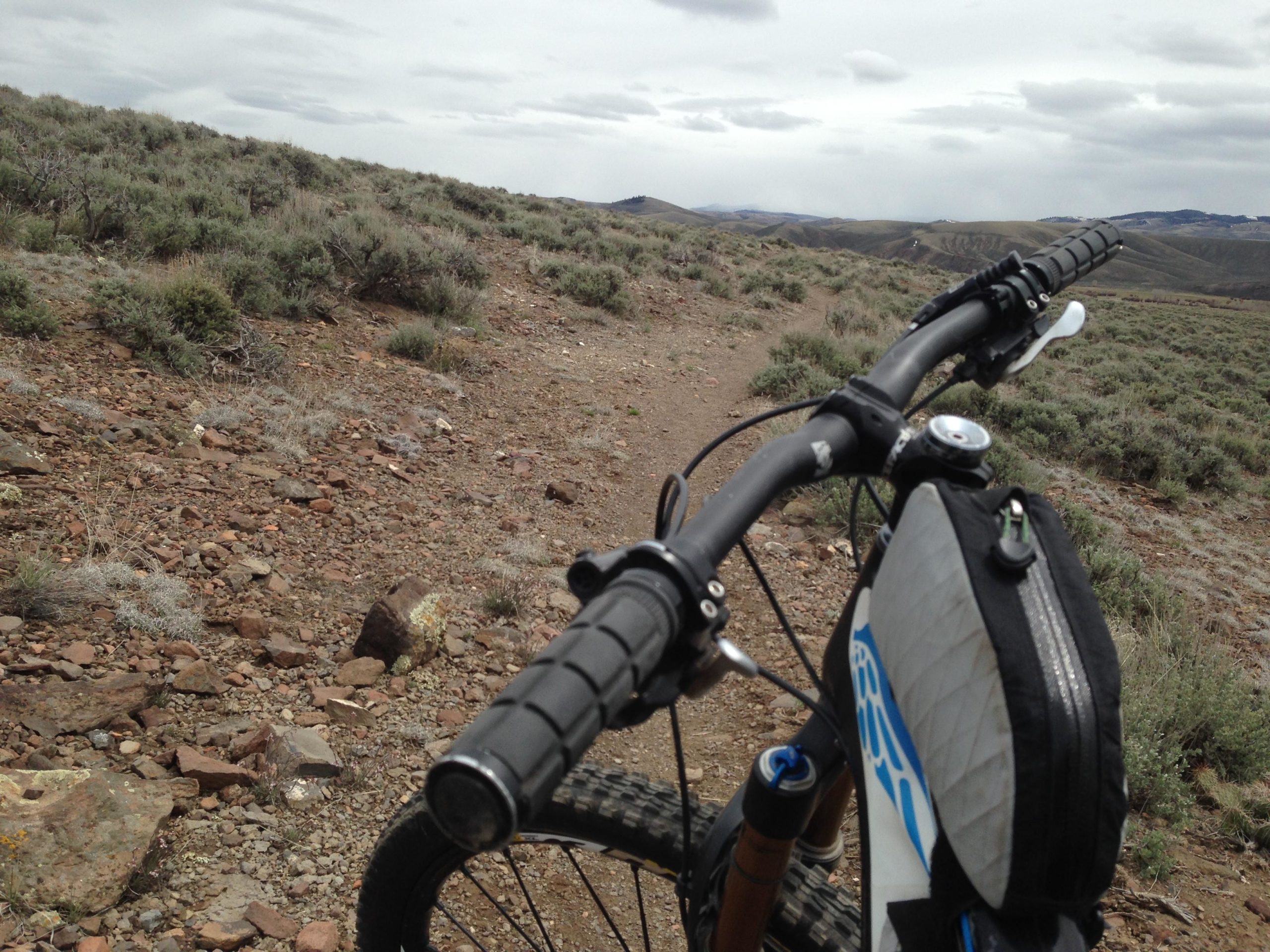 Image of a mountain bike handlebar positioned at the forefront, with a rocky and grassy trail stretching into the background. The landscape features scattered bushes and rolling hills under a cloudy sky. Signal Peak Trail System mountain bike trail.