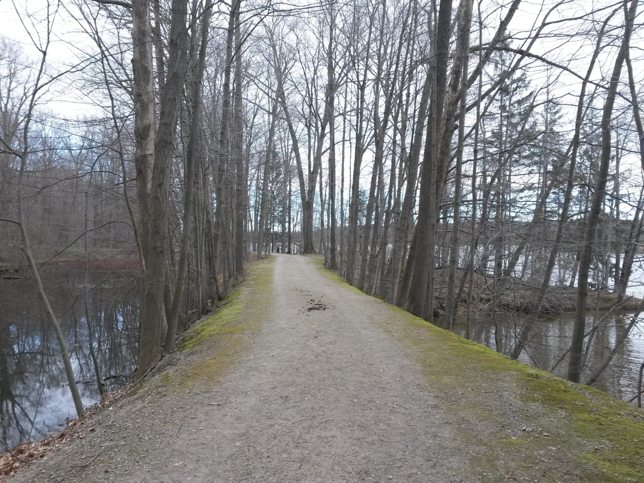 A peaceful, winding gravel path bordered by bare trees, leading alongside a tranquil body of water. The scene is set in early spring, with soft green moss covering parts of the path and a cloudy sky overhead, reflecting a serene outdoor environment. Headwaters Park segment - Buckeye Trail mountain bike trail.