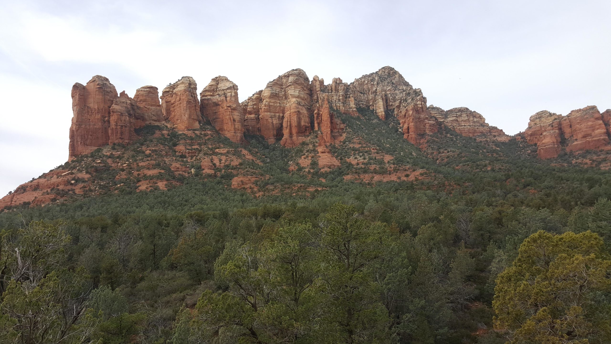 A scenic view of sandstone rock formations atop a green, wooded hillside, set against a cloudy sky. The rocky peaks display various shades of red and brown, contrasting with the lush greenery of pine trees in the foreground. Chuck Wagon mountain bike trail.