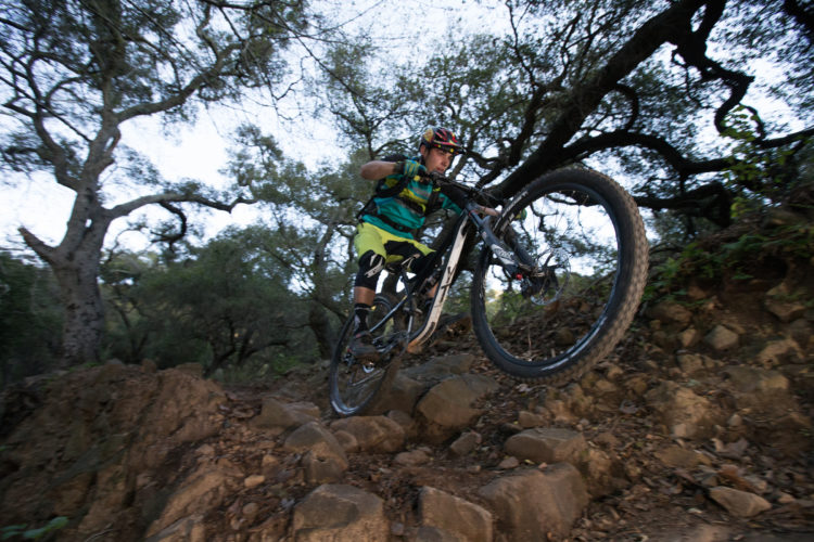 A mountain biker performing a jump over rocky terrain in a wooded area, surrounded by trees and foliage. The rider is wearing a colorful helmet and protective gear, showcasing an action-packed moment of off-road cycling.