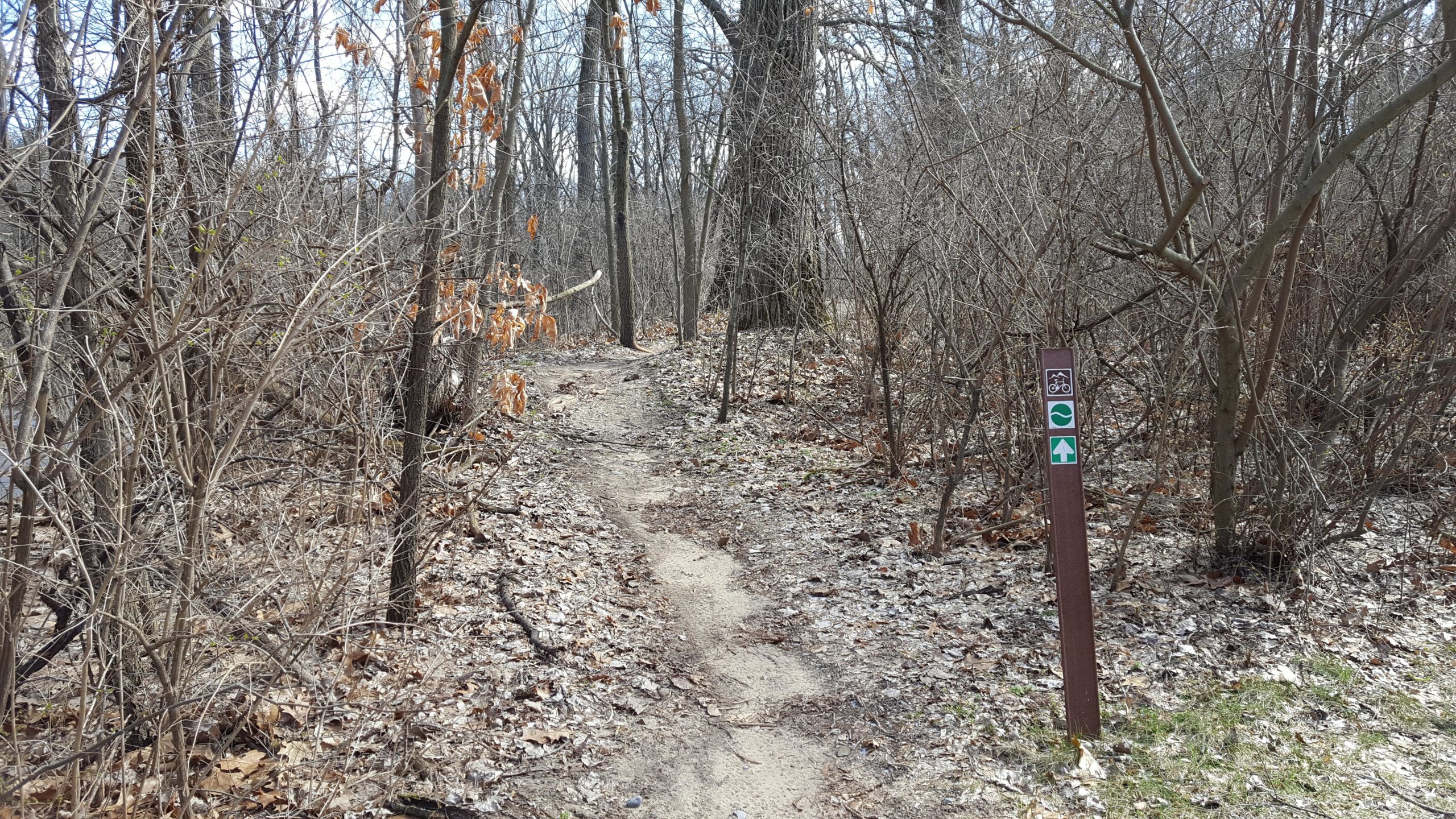 A narrow path through a wooded area, surrounded by bare trees and scattered leaves. A trail marker is visible on the right side, indicating bike and pedestrian access. The scene is bright, suggesting a clear day. Bonneyville Mill mountain bike trail.