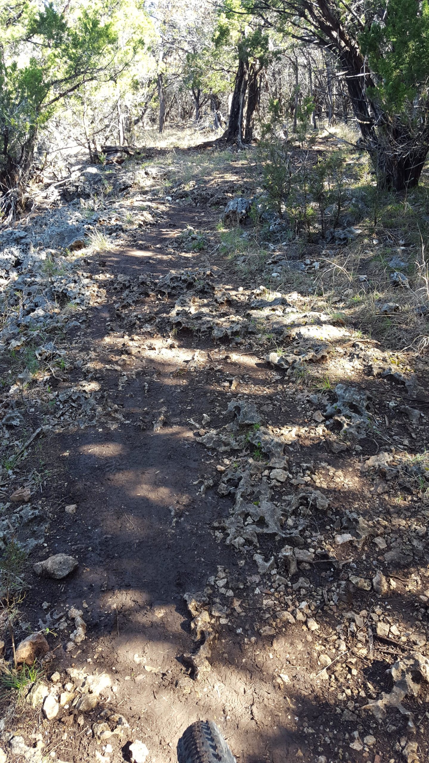 A rocky dirt path in a wooded area, surrounded by trees and underbrush. The trail shows signs of wear with scattered stones and rocky terrain. Sunlight filters through the trees, creating dappled shadows on the ground. A portion of a bicycle tire is visible in the lower right corner. Goodwater Trail mountain bike trail.