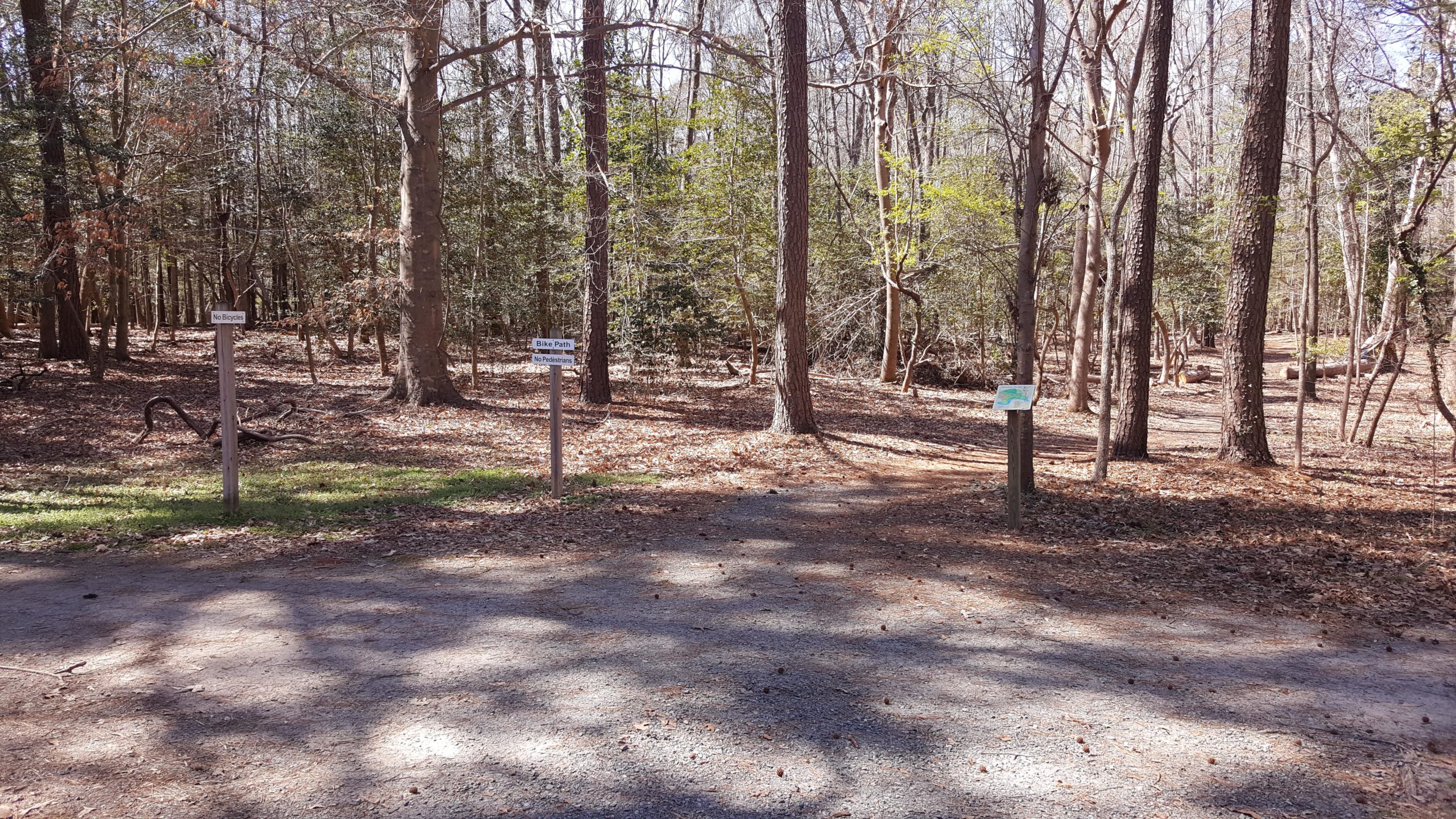 A view of a wooded area with a gravel path leading into the trees. There are two wooden signs: one indicates "No Bicycles," and the other marks an "Bike Path" and "No Pedestrians." The ground is covered with fallen leaves, and sunlight filters through the trees, creating dappled shadows on the path. Windsor Castle Park mountain bike trail.