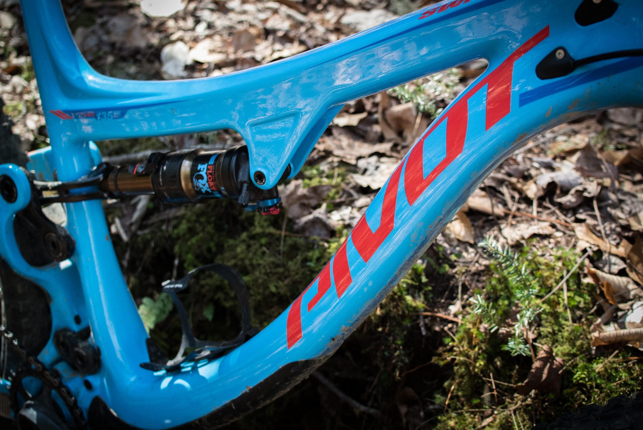 Pivot SwitchBlade: Close-up of a blue bike frame with red lettering, highlighting the shock mechanism and intricate design details. The background features natural foliage, including leaves and moss, creating an outdoor setting.
