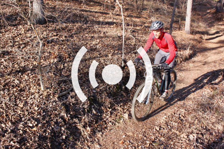 A cyclist wearing a red long-sleeve shirt and a helmet rides along a dirt trail covered with fallen leaves in a wooded area.