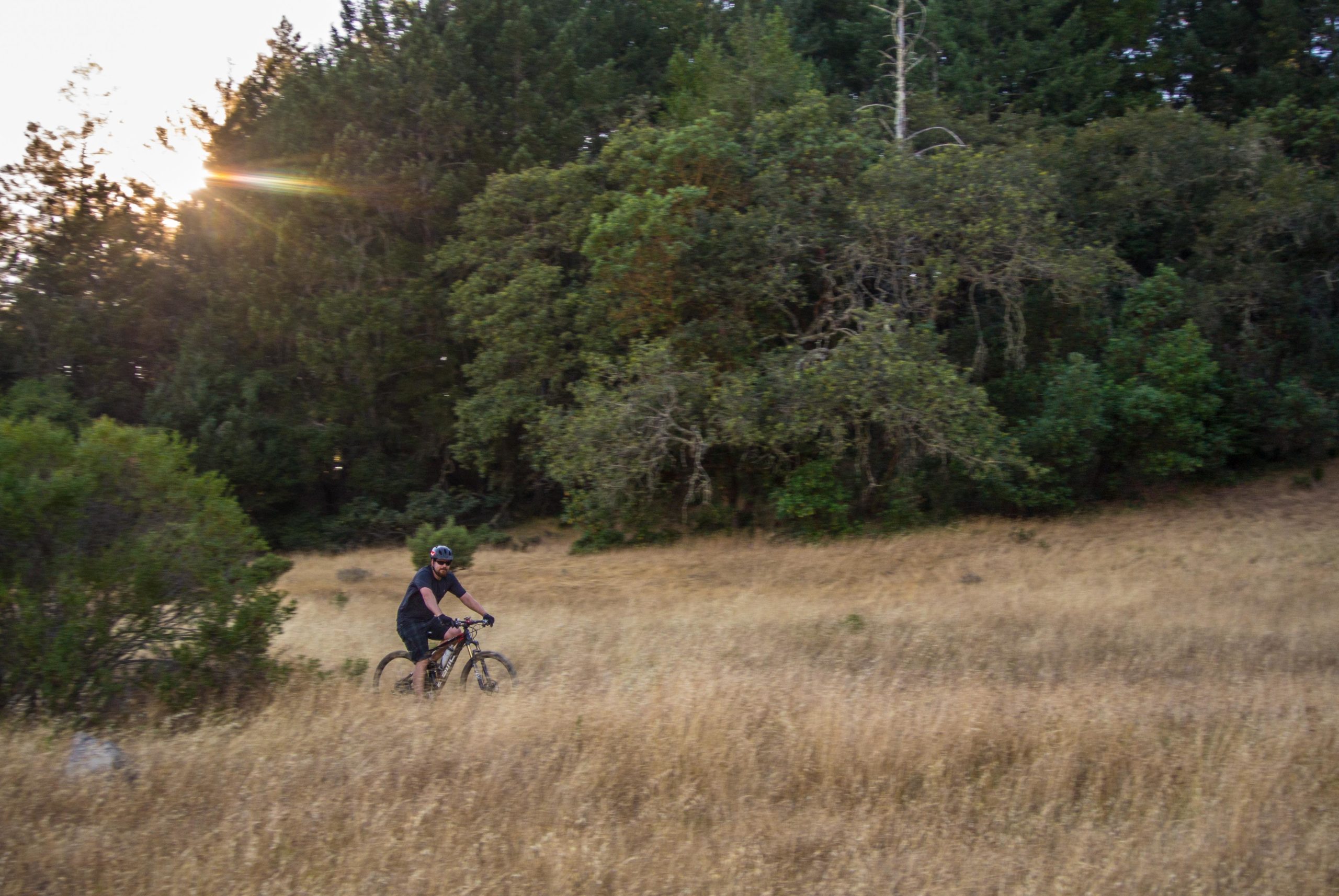 A person riding a mountain bike through a grassy field, surrounded by trees, with the sun setting in the background, casting a warm glow. Annadel State Park mountain bike trail.