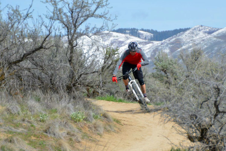 A mountain biker in a red and gray jersey navigates a dirt trail in a desert landscape, surrounded by shrubs and mountains in the background. Snow-capped peaks can be seen in the distance under a clear blue sky. The biker leans into a turn, demonstrating skill and control.