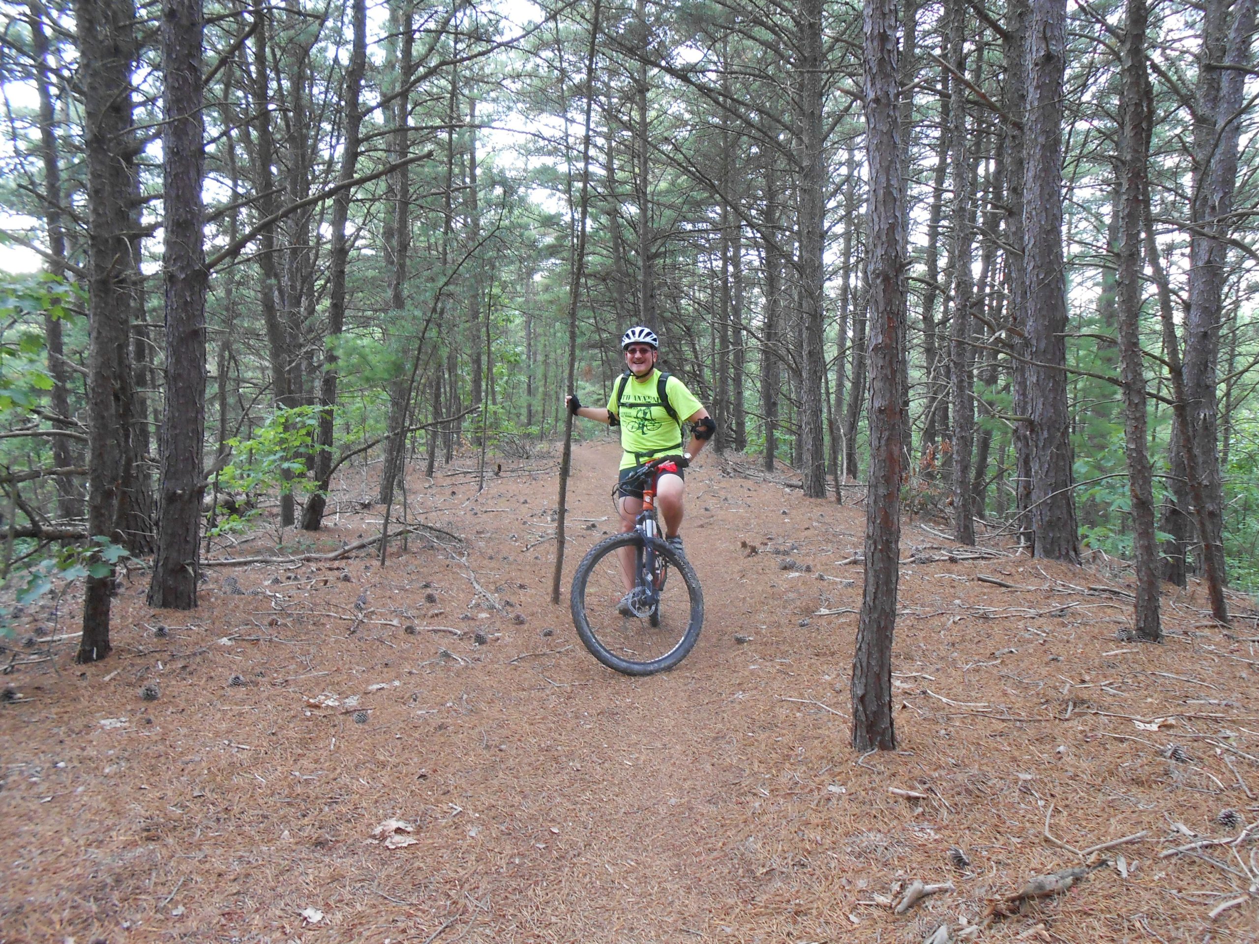A person wearing a bright yellow shirt and a helmet is riding a mountain bike on a dirt trail surrounded by tall pine trees. The ground is covered in pine needles and fallen branches, creating a natural and rustic atmosphere in the forest. Bavington mountain bike trail.