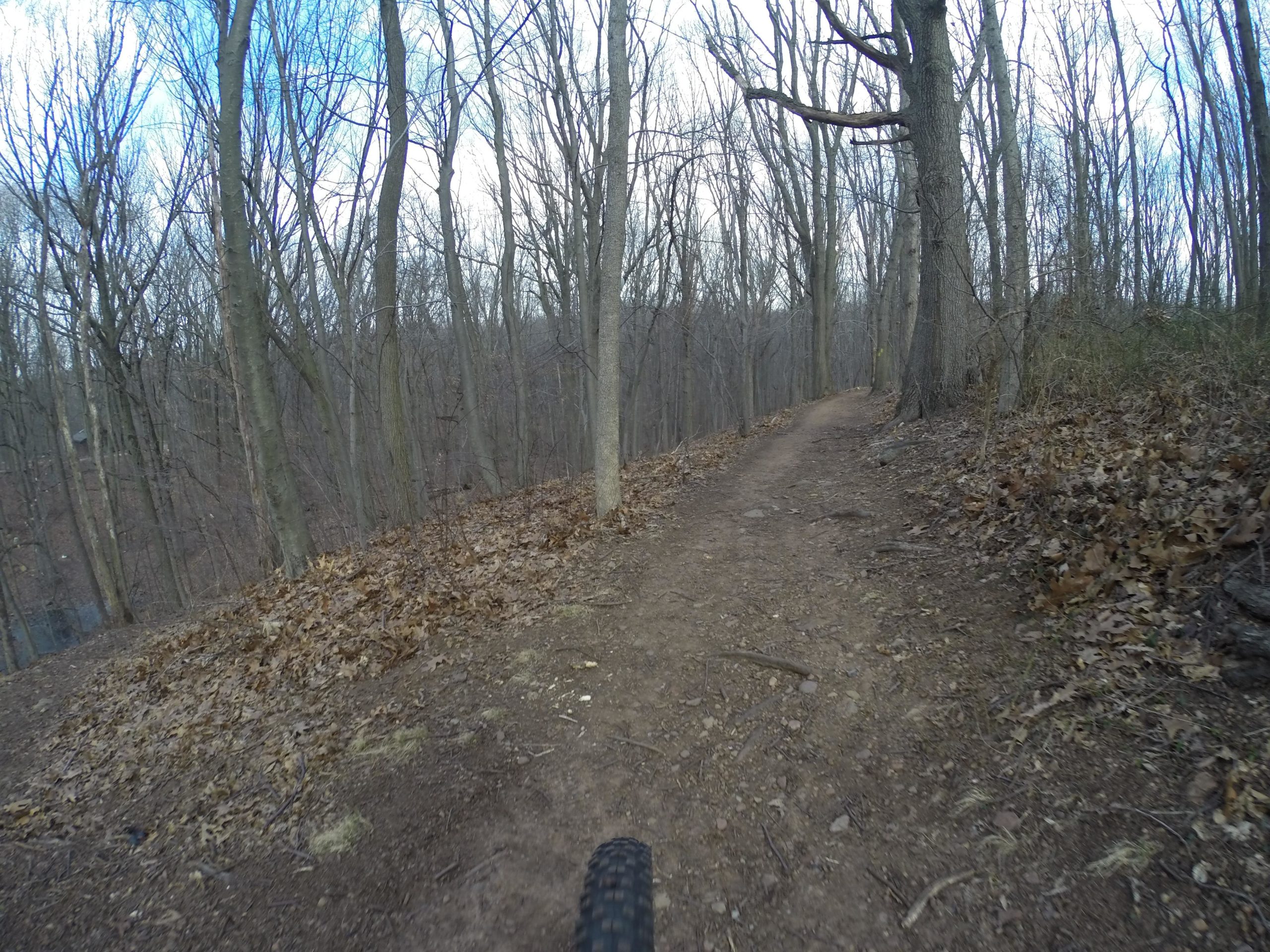 A narrow dirt trail winding through a forest with bare trees, surrounded by fallen leaves on the ground, under a partly cloudy sky. Richmond Avenue and Forest Hill road mountain bike trail.