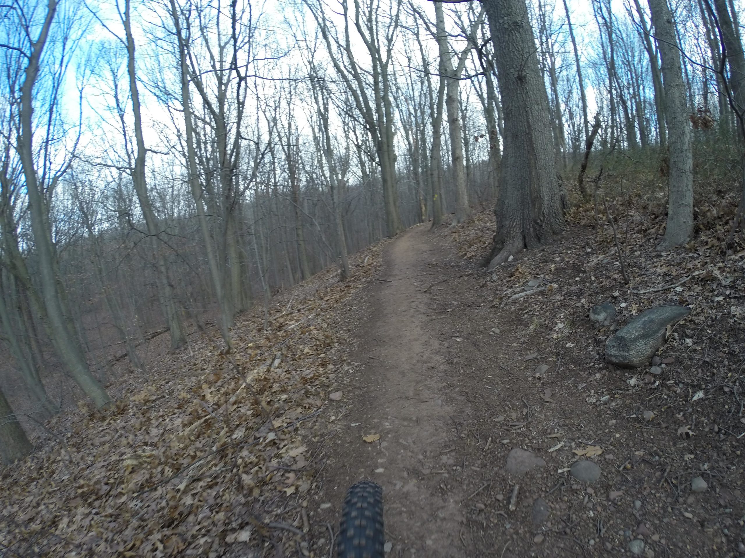 A dirt trail winding through a forest with bare trees, fallen leaves, and rocky terrain during a clear day. Richmond Avenue and Forest Hill road mountain bike trail.