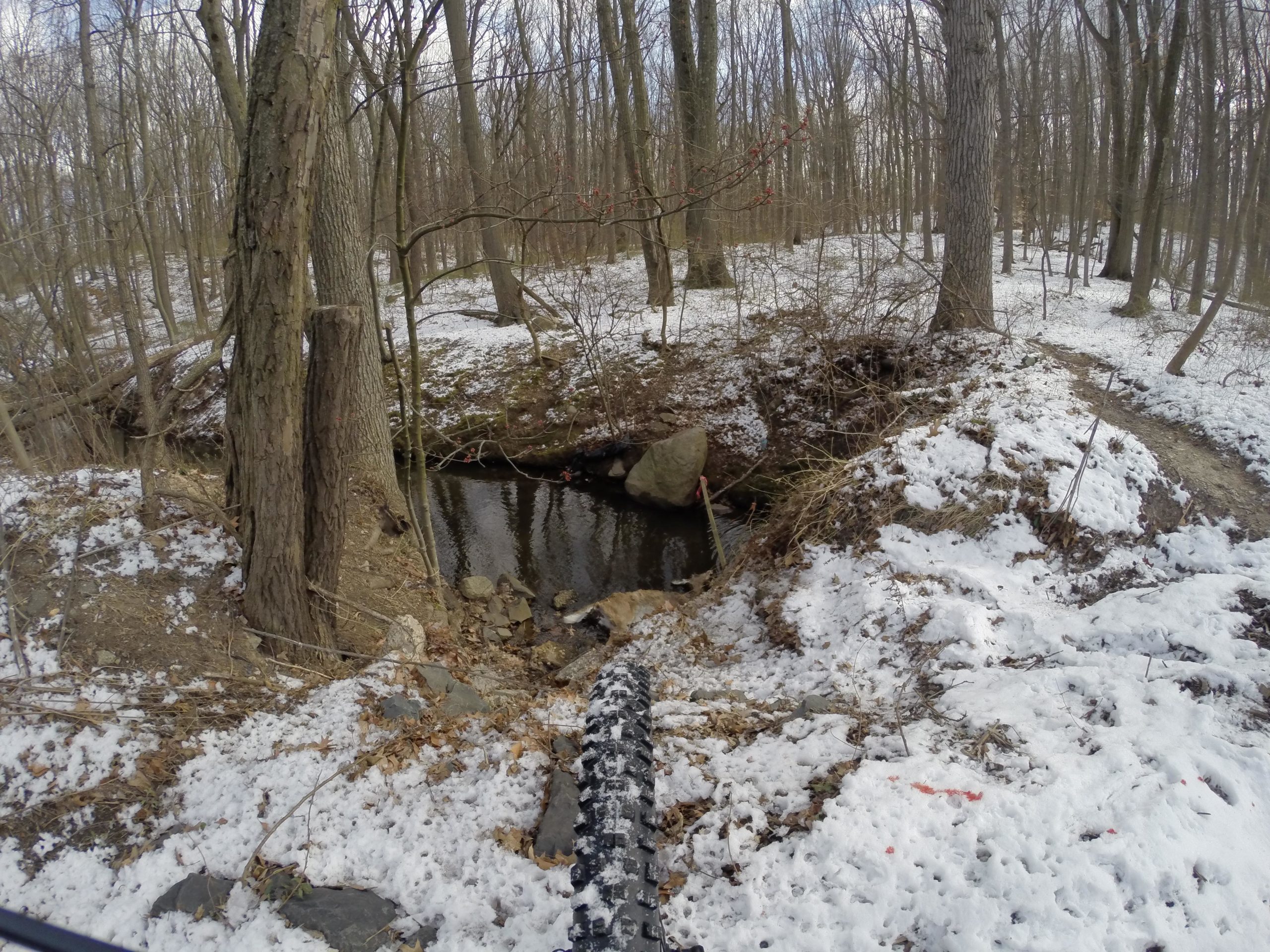 A winter scene in a forest featuring a small stream surrounded by snow-covered ground and leafless trees. A rocky bank leads down to the water, with patches of snow and fallen leaves scattered throughout the area. The perspective shows a bike tire in the foreground, suggesting a nearby cycling trail. Wolfes Pond park mountain bike trail.