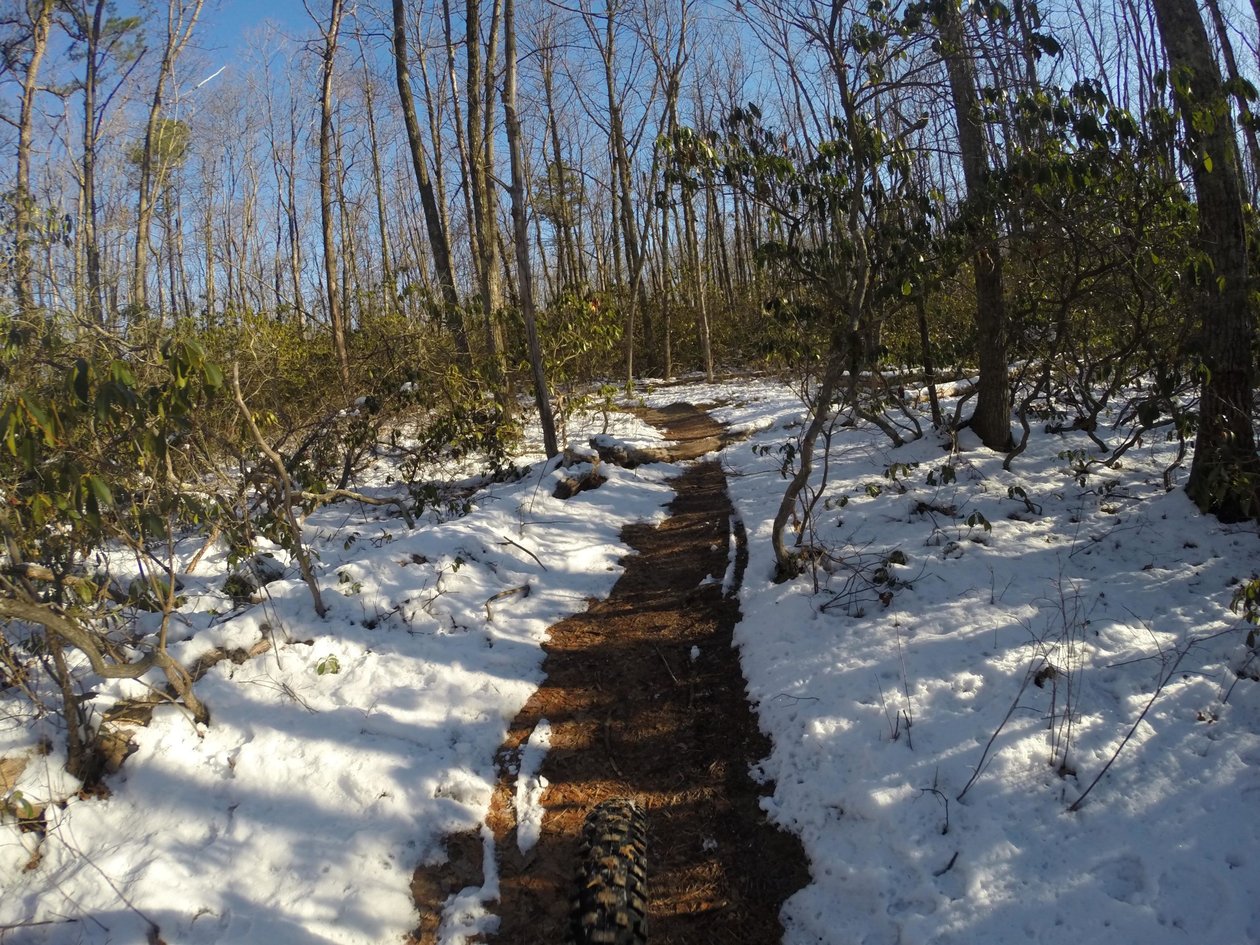 A snow-covered dirt path winding through a forest with tall, bare trees and patches of greenery peeking through the snow. The sky is clear and blue, and the scene captures the tranquility of a winter day in nature. Allaire State Park mountain bike trail.