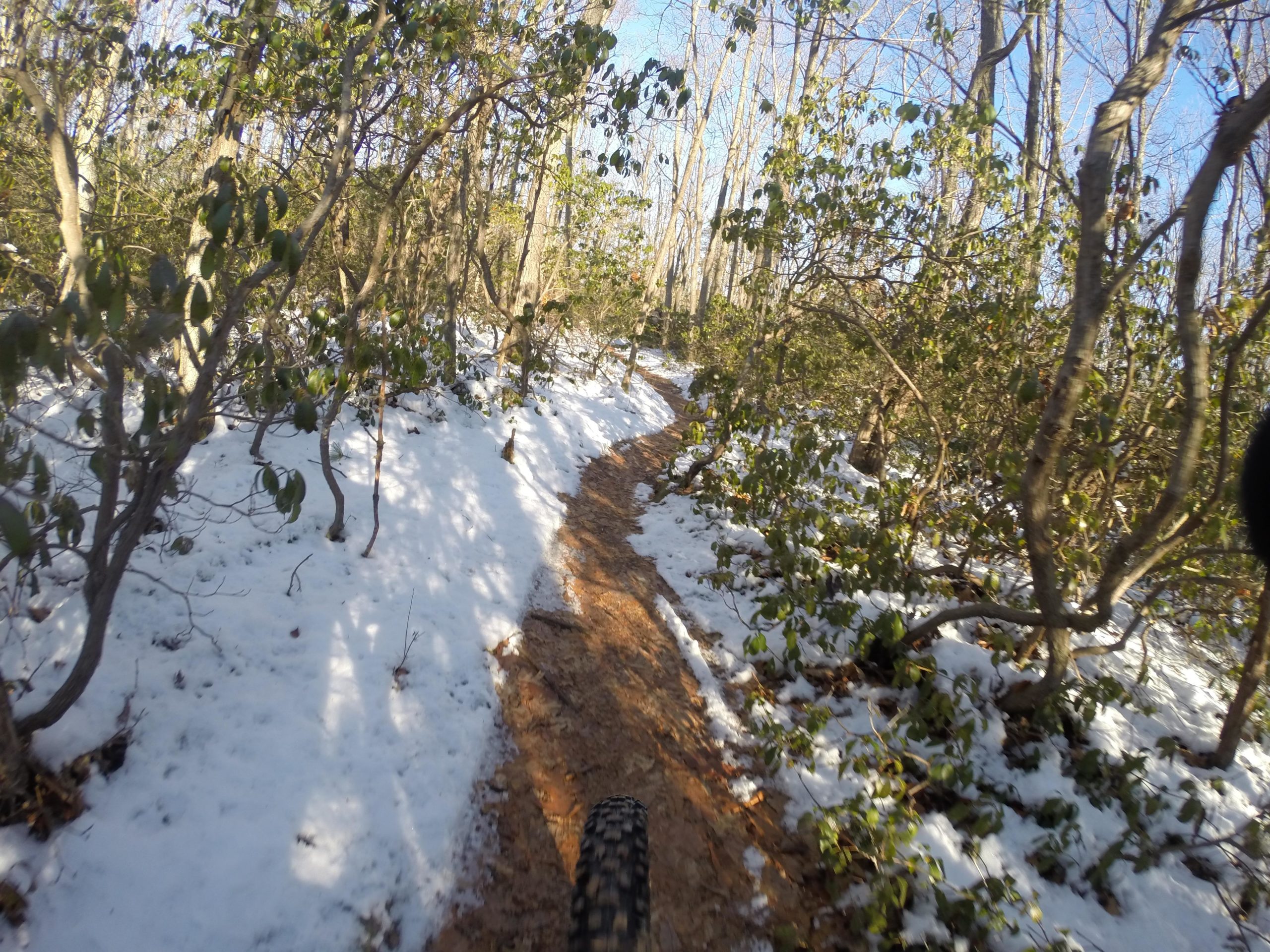 A winding dirt path through a wooded area, partially covered in snow. Lush green shrubs and bare trees line the trail under a bright blue sky, creating a serene winter scene. Allaire State Park mountain bike trail.