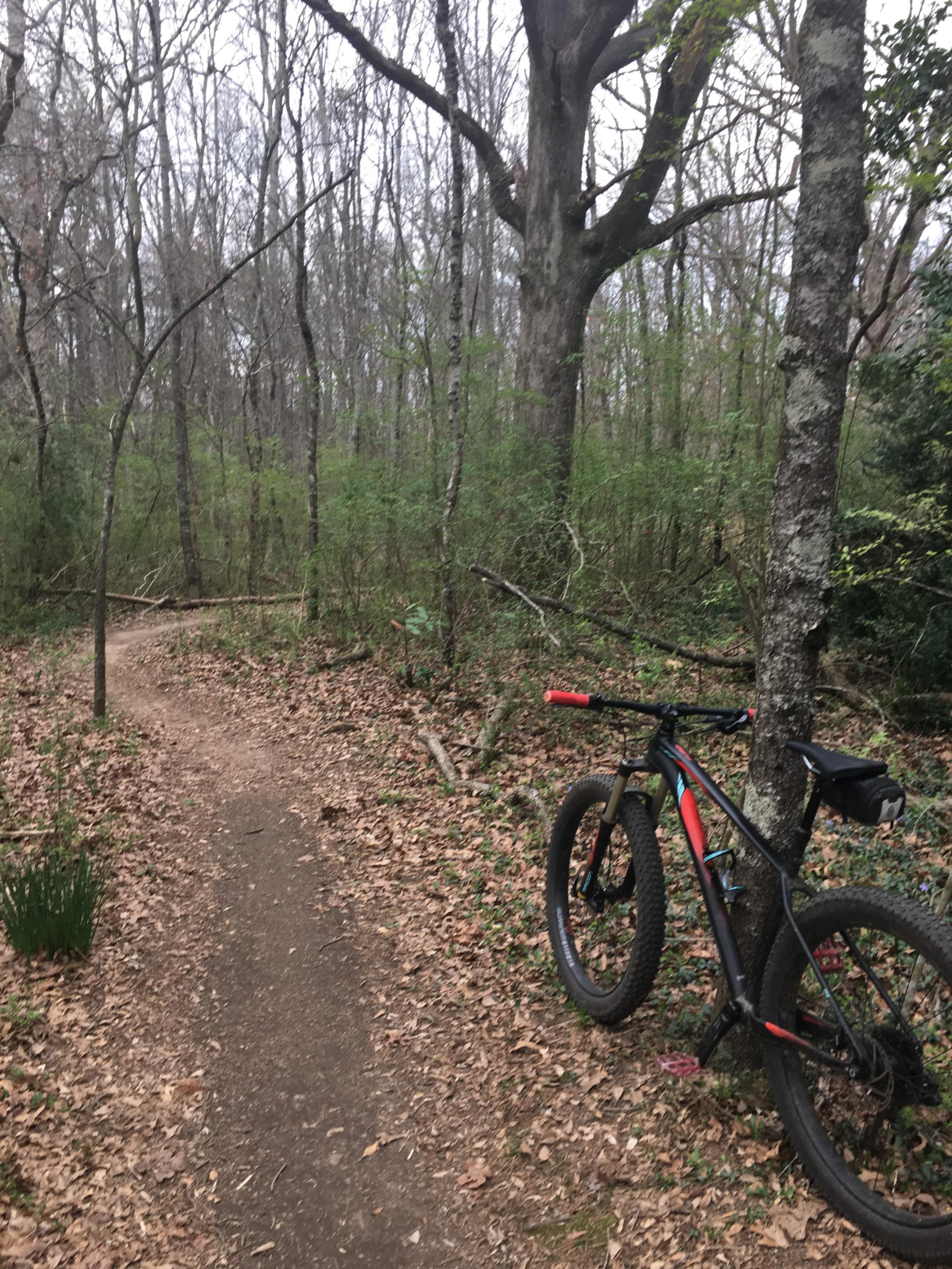 A mountain bike leaning against a tree beside a dirt path in a wooded area, surrounded by bare trees and scattered brown leaves. The scene has a calm, natural atmosphere, indicating a popular trail for biking or hiking. Gainesville College mountain bike trail.