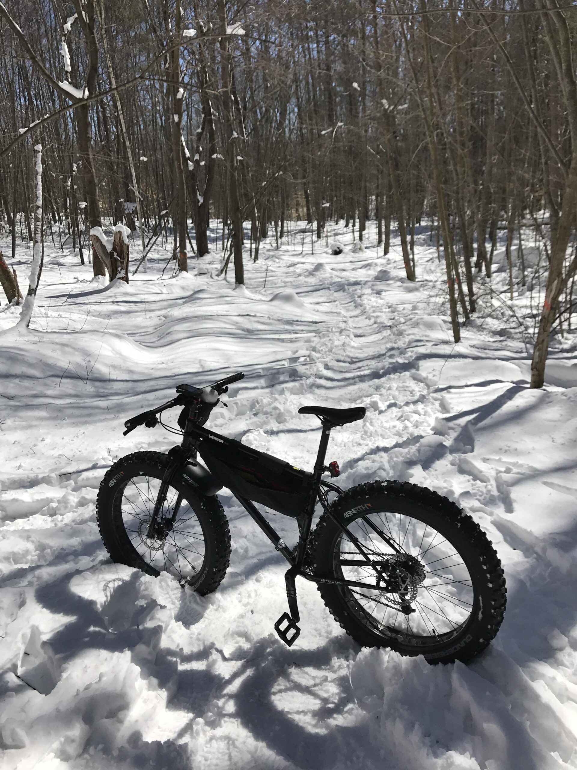 Surly Wednesday: A fat bike stands on a snowy trail in a winter forest, surrounded by bare trees. The path is partially covered in snow, with tire tracks leading into the distance, and bright sunlight illuminating the scene.