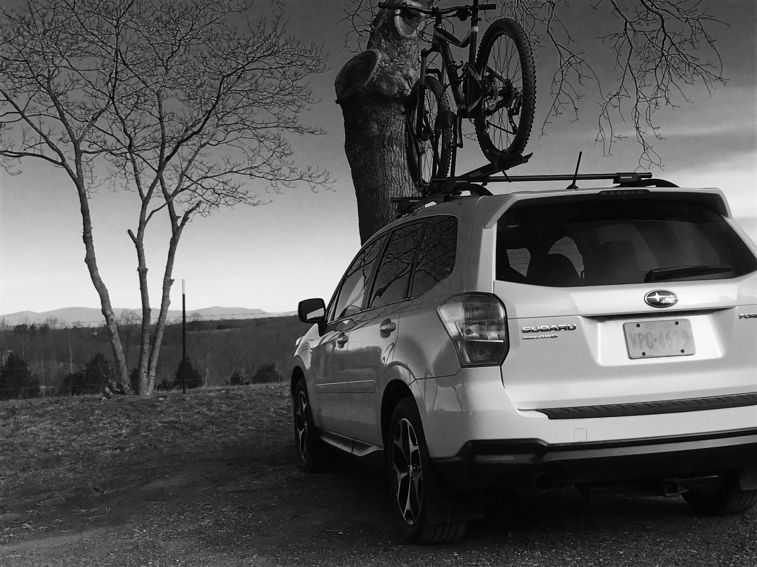 Giant Giant Trance 27.5 2: A white Subaru SUV parked on a gravel surface with a mountain bike mounted on the roof. In the background, there are leafless trees and a distant view of mountains, all captured in black and white.