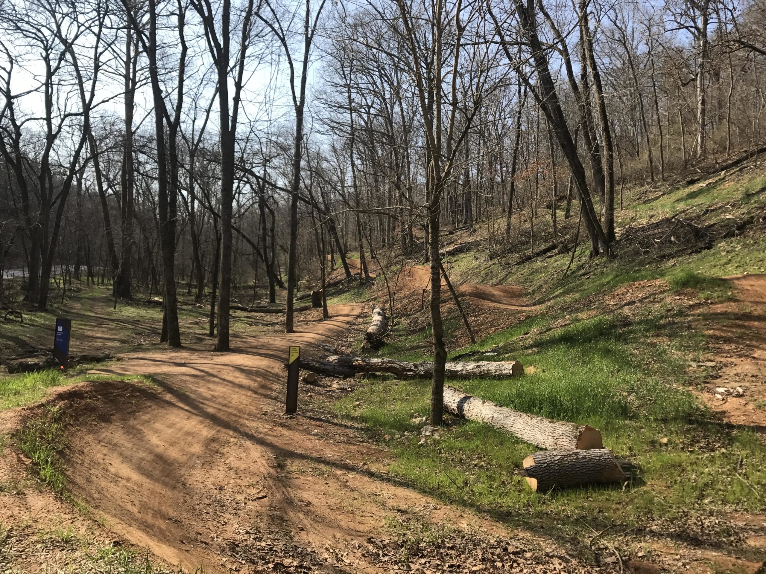A winding dirt trail meanders through a forested area, with bare trees and patches of green grass visible on either side. Two large logs are lying across the path, and trail markers can be seen along the route, indicating different paths. Sunlight filters through the trees, creating a serene and natural atmosphere. Coler Mountain Bike Preserve mountain bike trail.