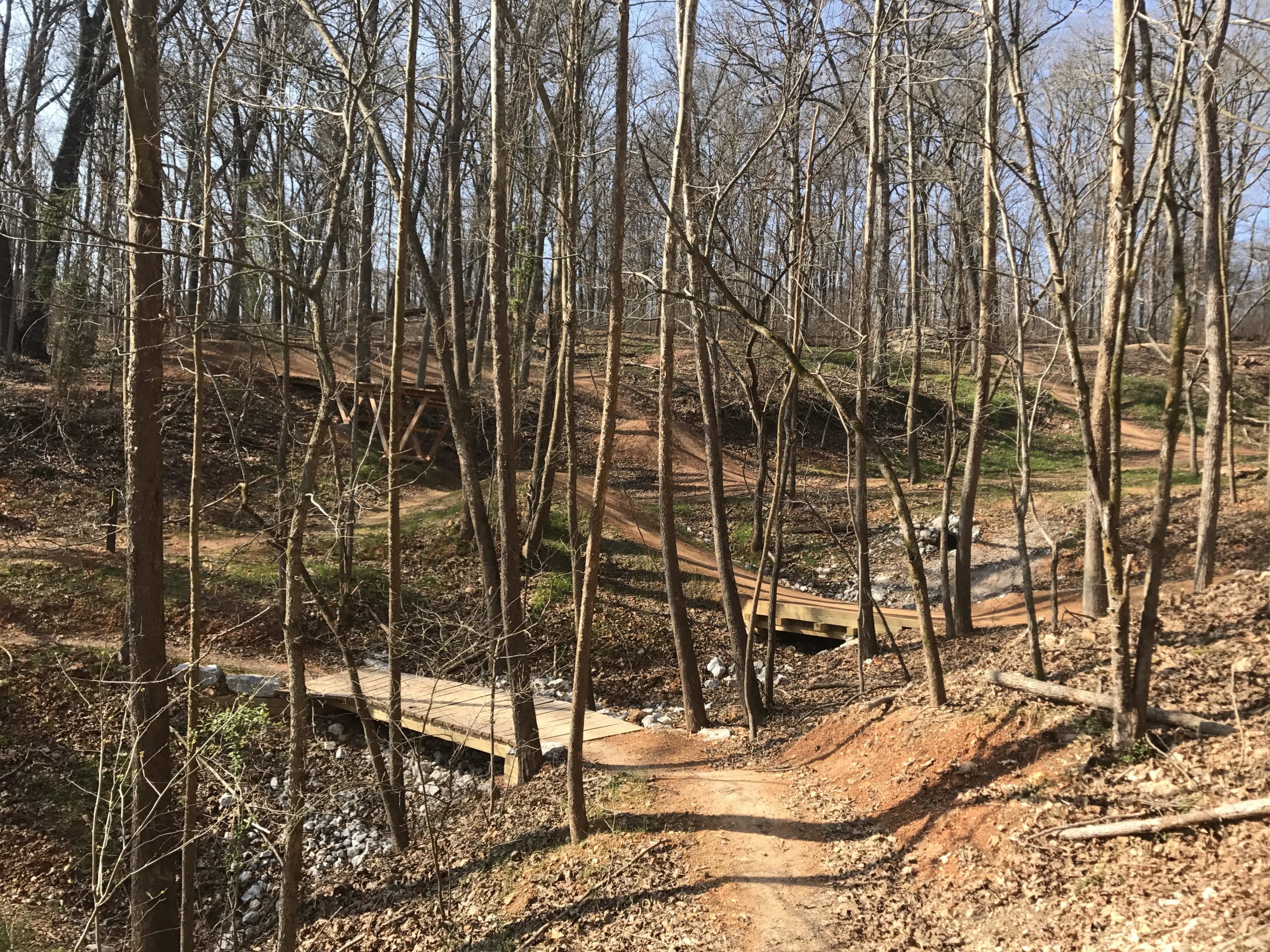 A serene wooded trail winding through a forest with bare trees in early spring. The path features wooden bridges crossing over rocky areas, surrounded by earthy tones of soil and fallen leaves. Sunlight filters through the branches, illuminating sections of the trail. Coler Mountain Bike Preserve mountain bike trail.