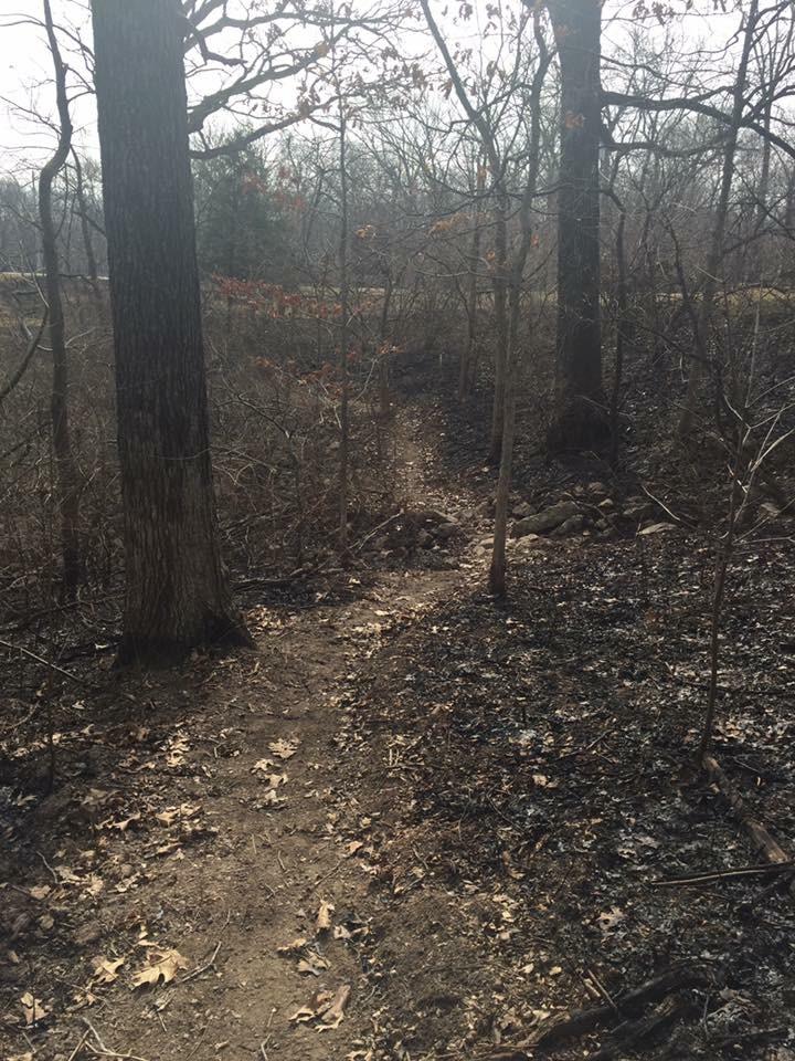 A narrow dirt path winding through a desolate forest, with blackened ground and sparse vegetation, flanked by bare trees and a few scattered leaves. The atmosphere appears hazy, suggesting the aftermath of a fire. Route 66 Trail mountain bike trail.